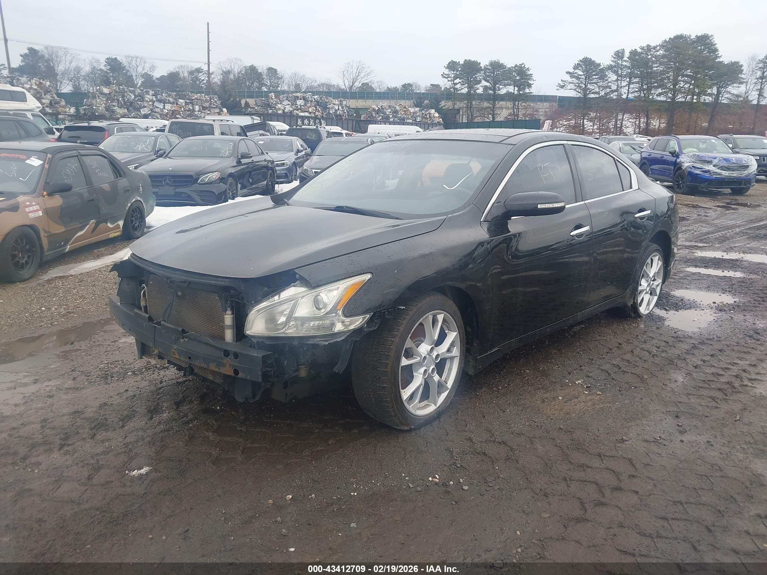 NISSAN MAXIMA image 2