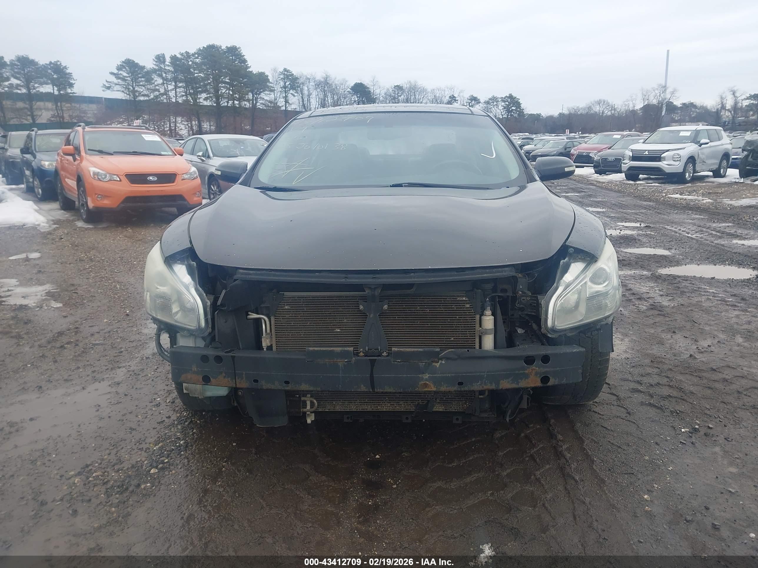 NISSAN MAXIMA image 6