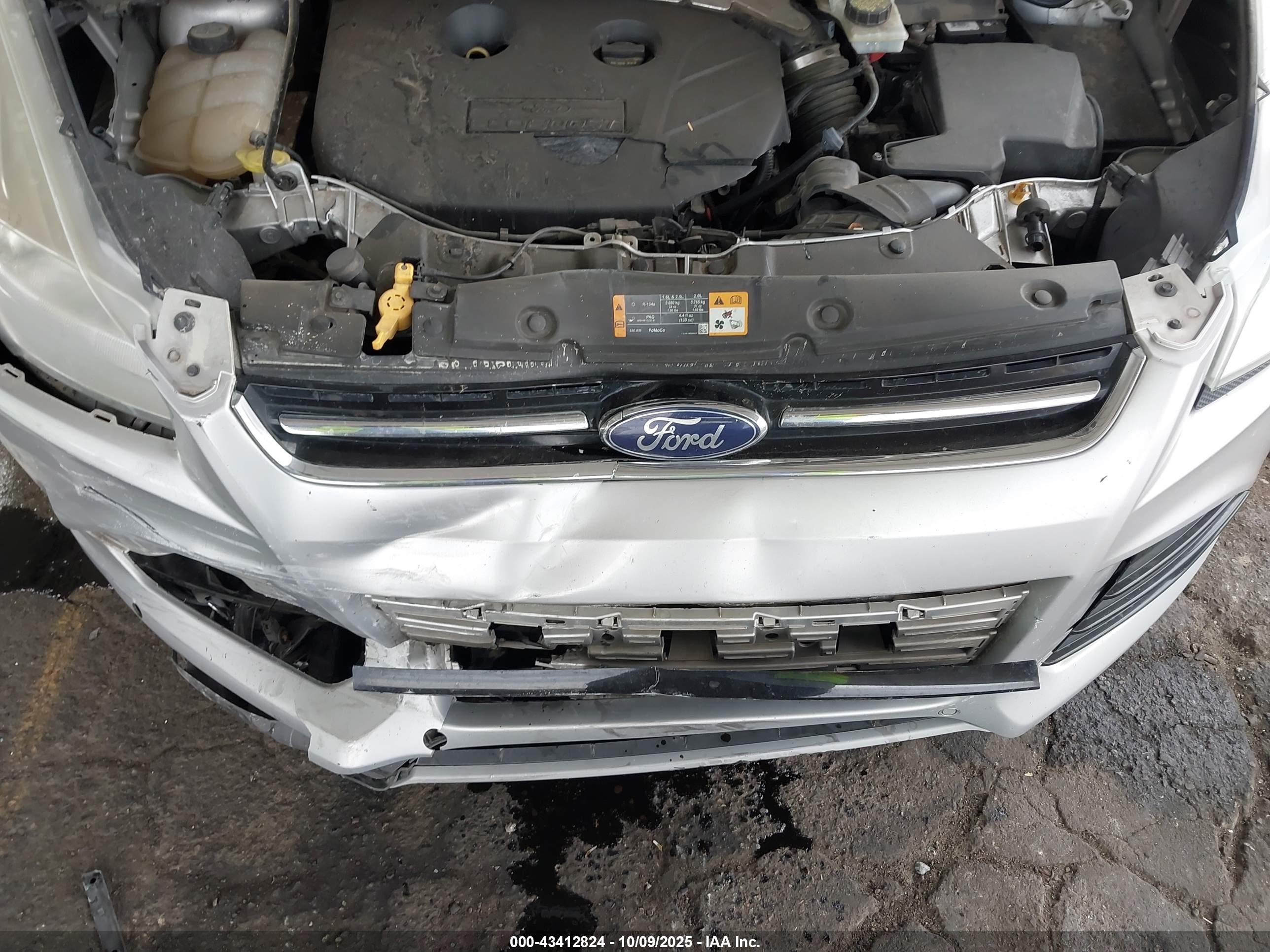 FORD ESCAPE image 6
