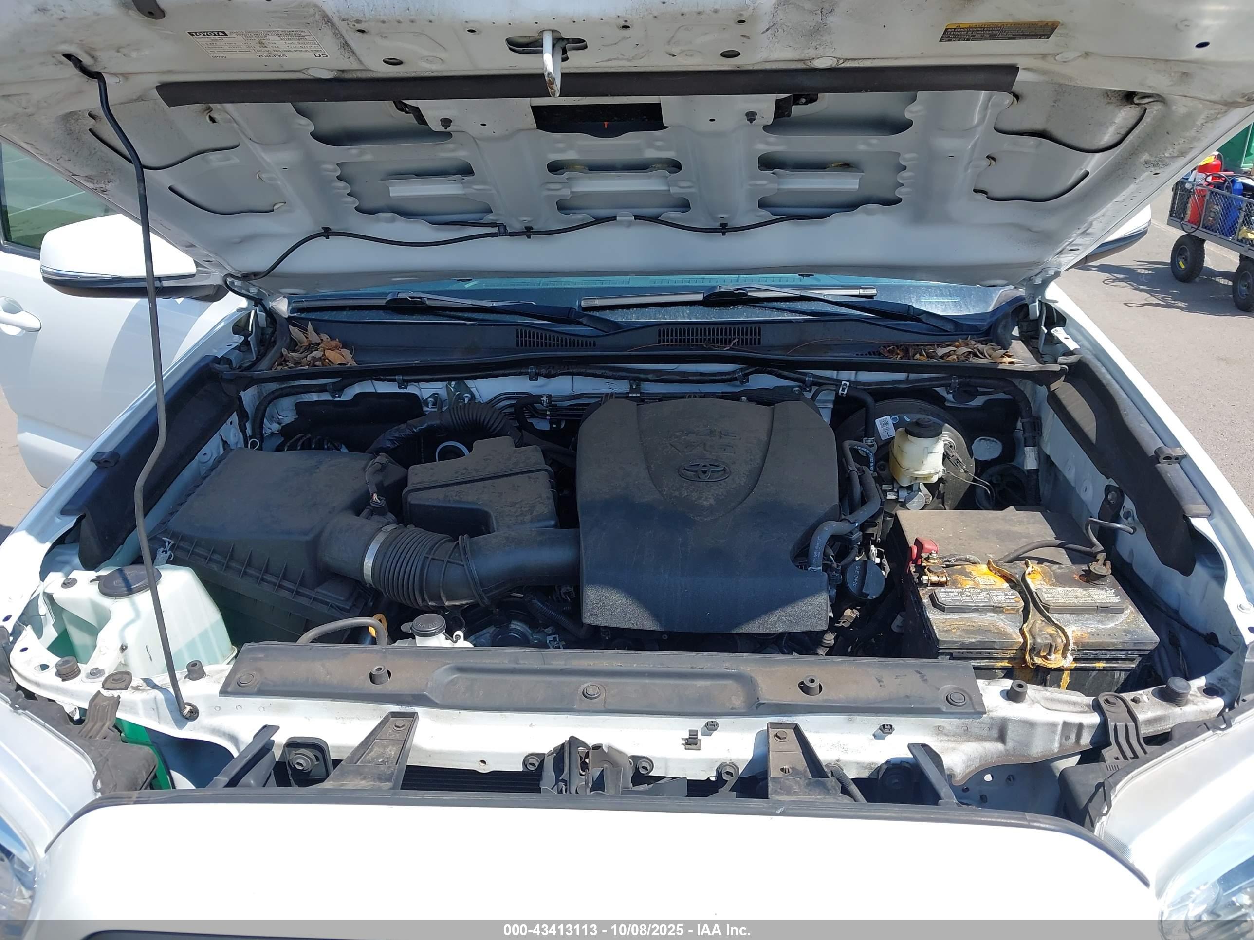 TOYOTA TACOMA image 10