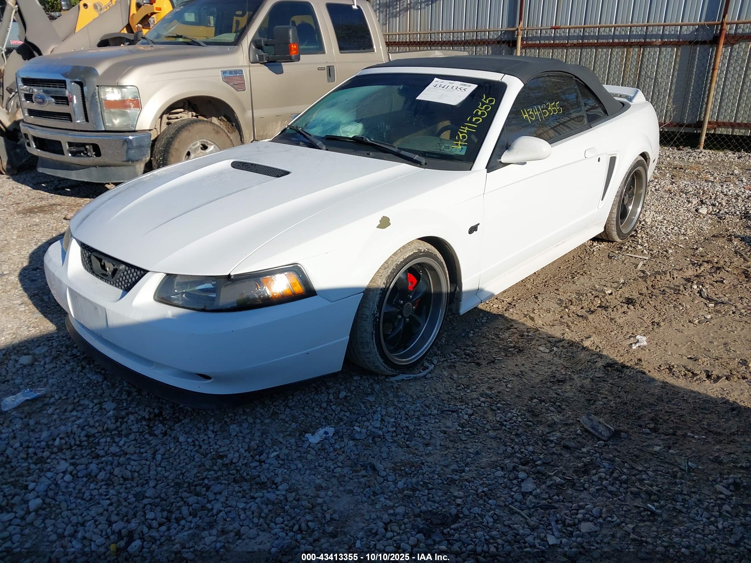 FORD MUSTANG image 2