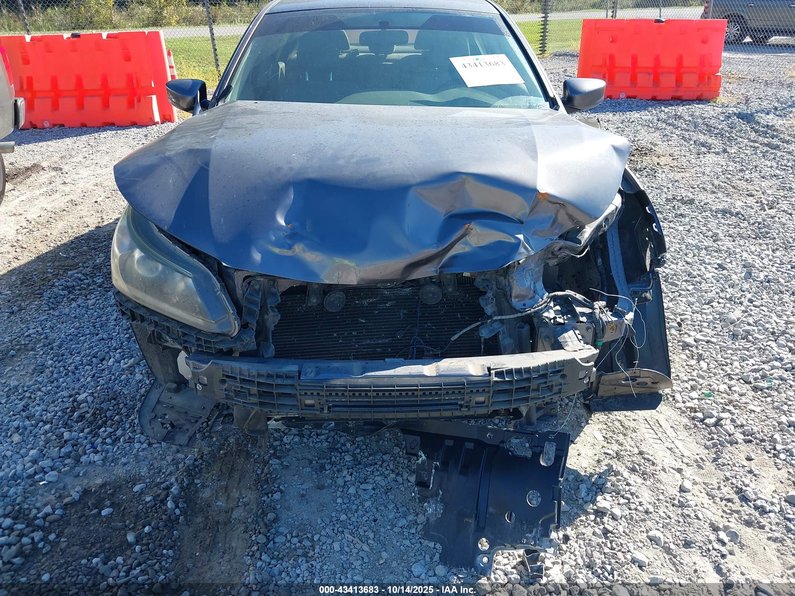 HONDA ACCORD image 6