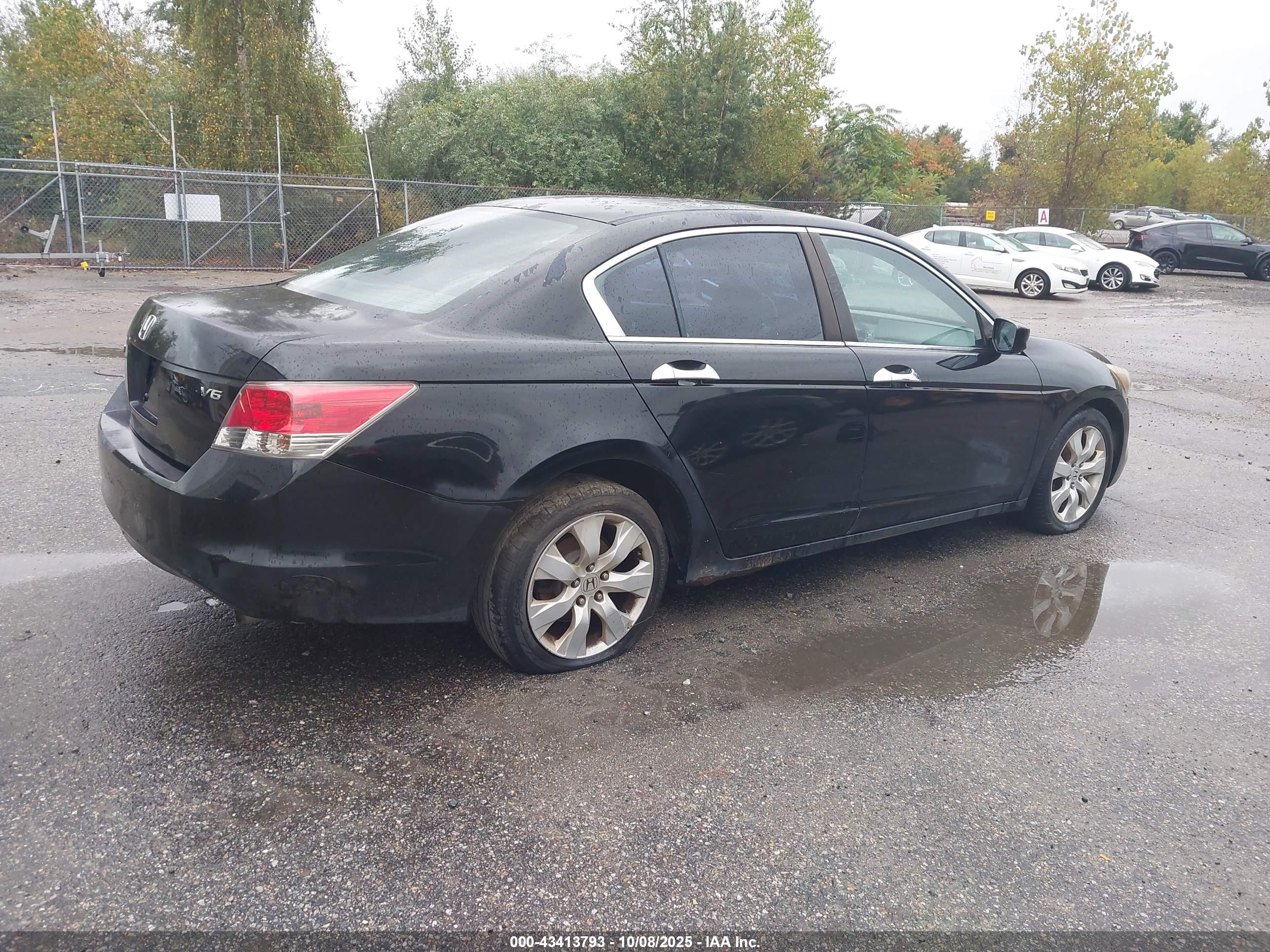HONDA ACCORD image 4