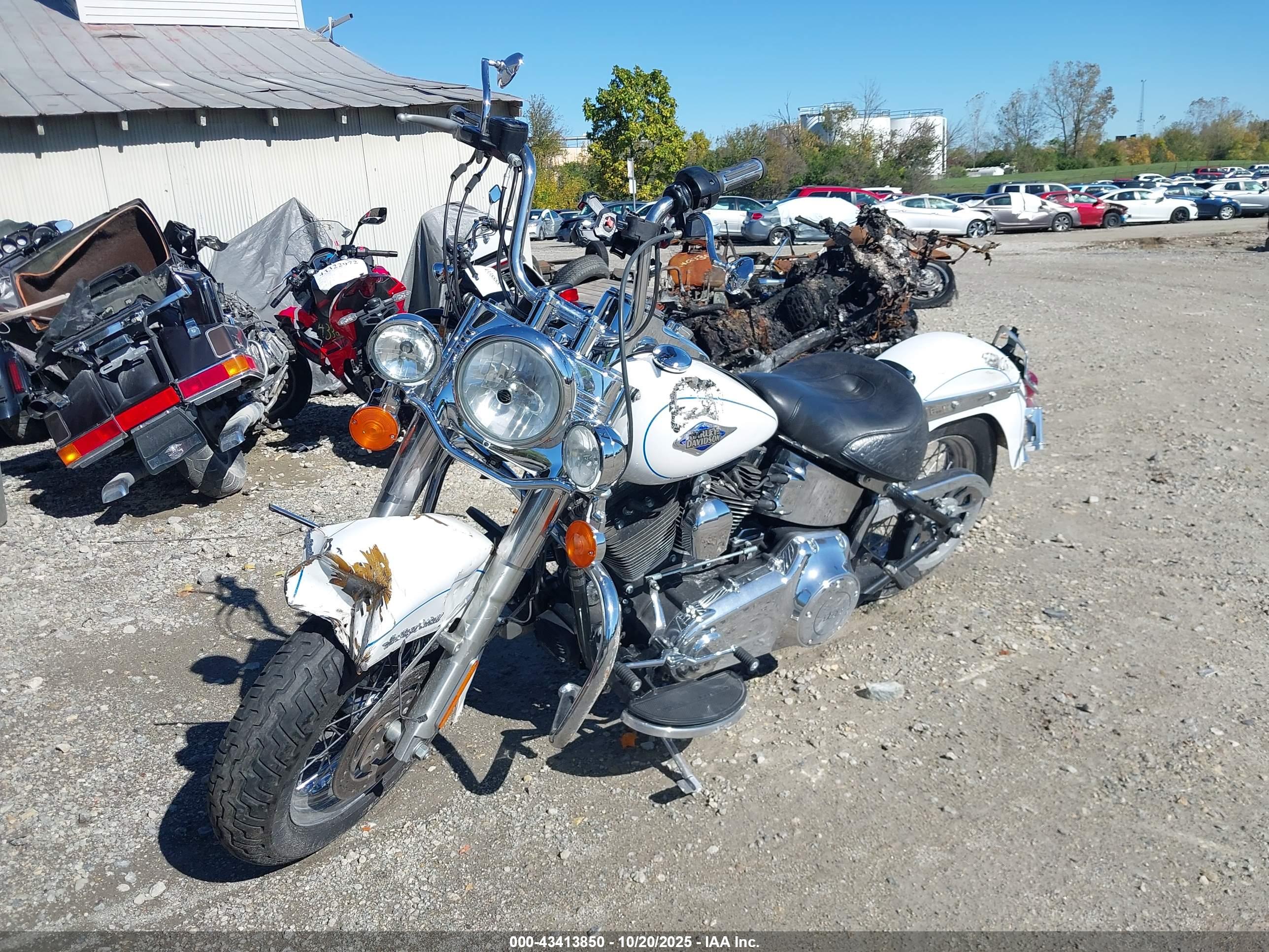 HARLEY-DAVIDSON FLSTC image 2