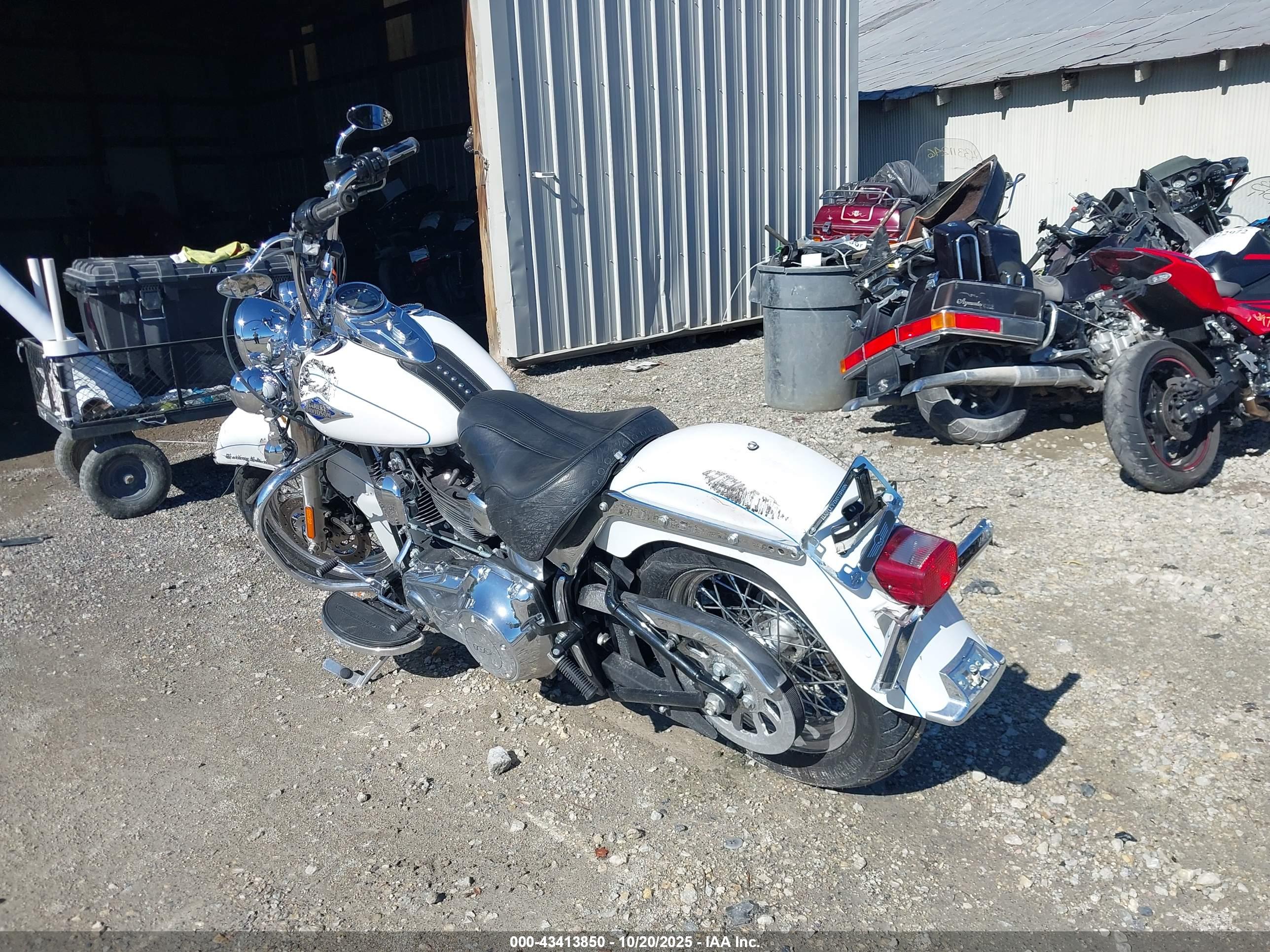 HARLEY-DAVIDSON FLSTC image 3