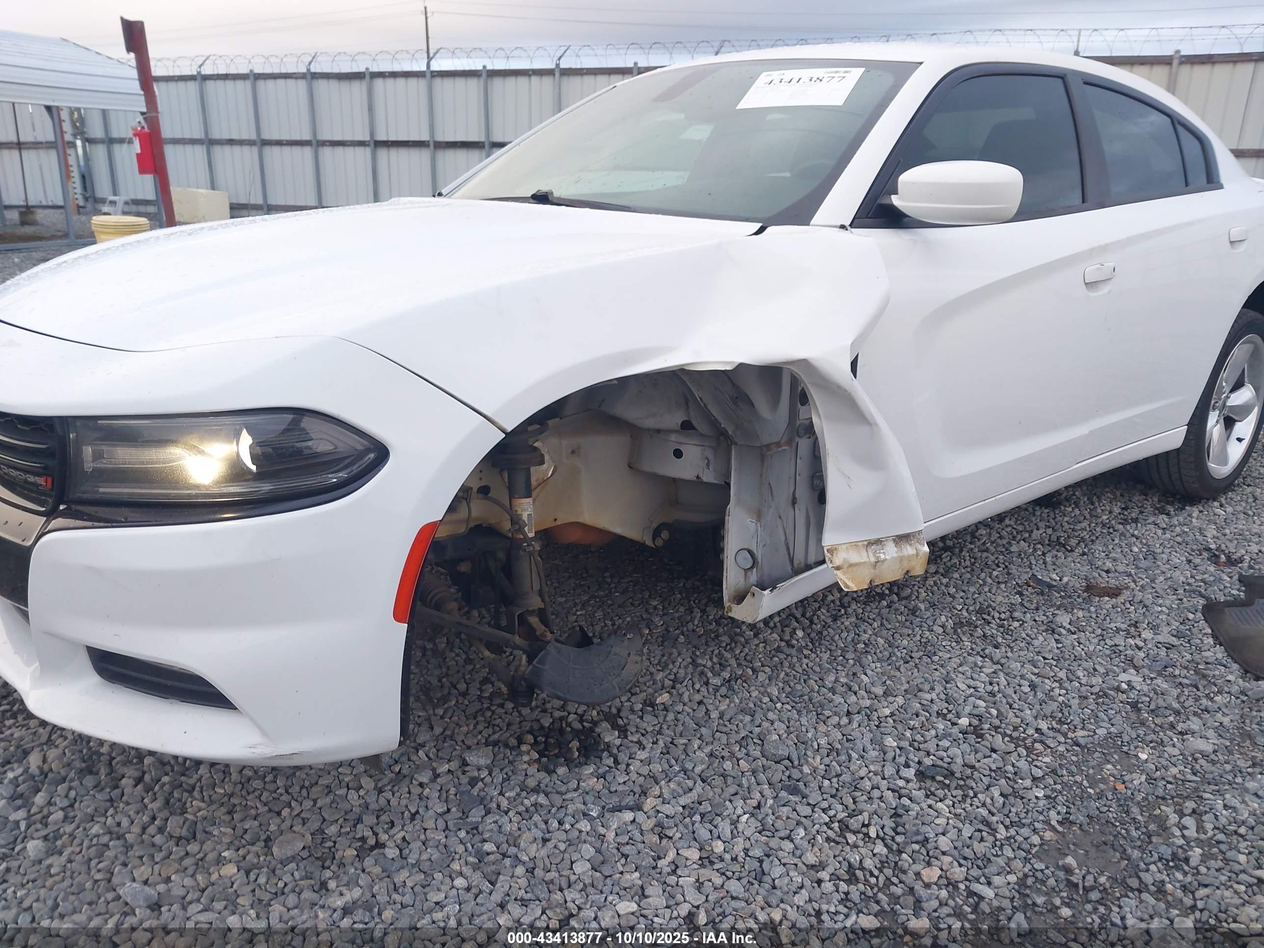 DODGE CHARGER image 6