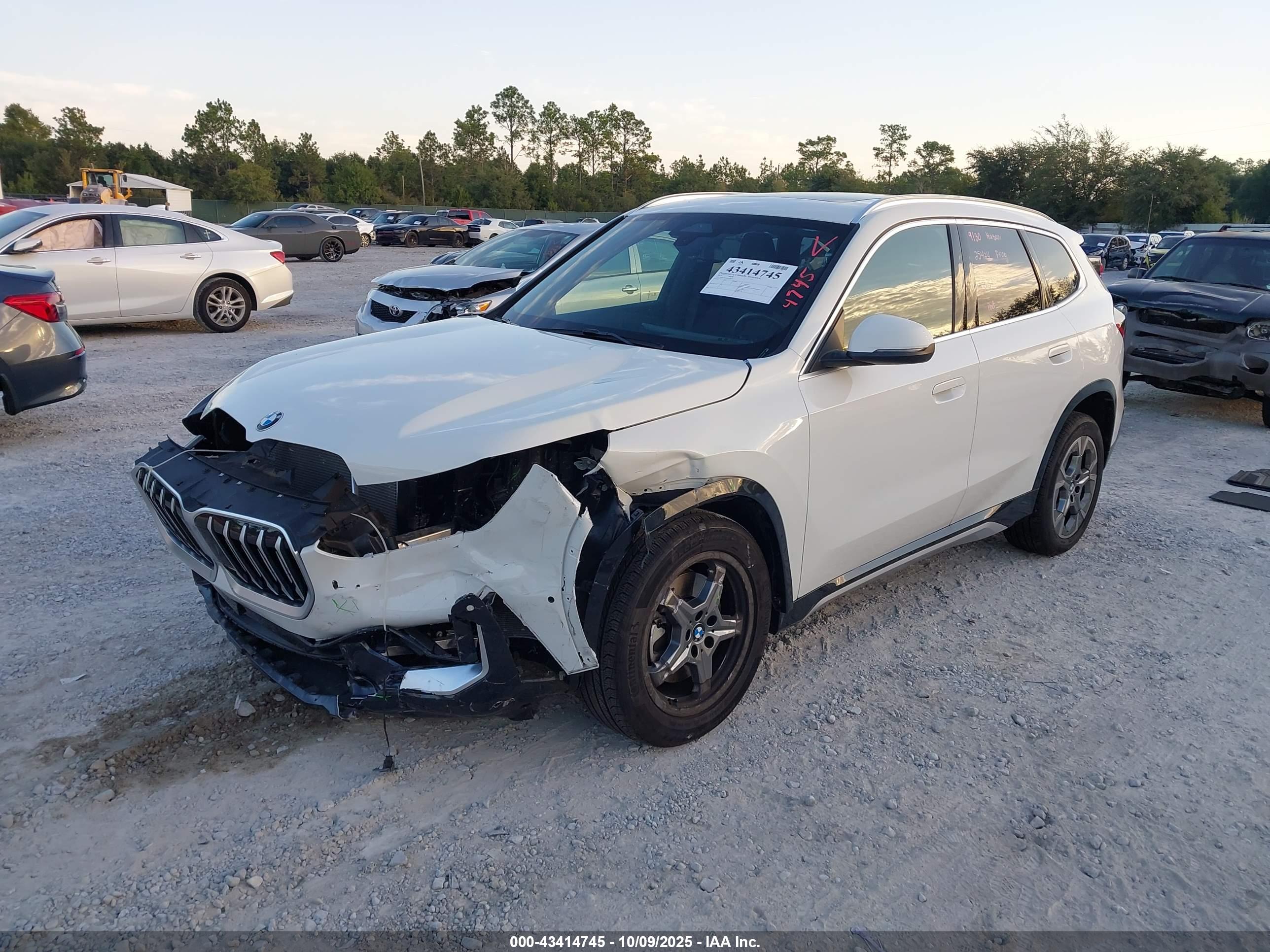 BMW X1 image 2