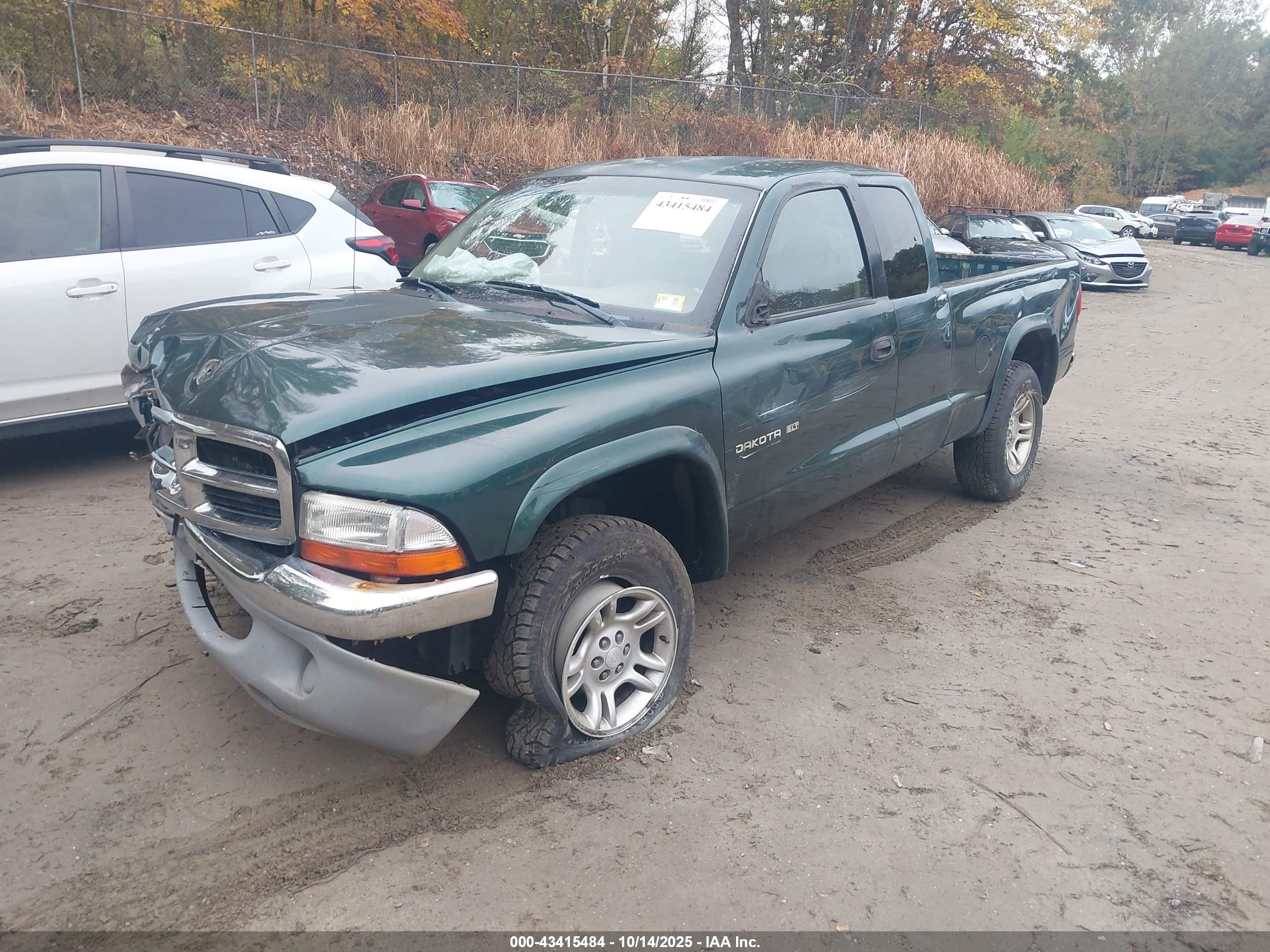DODGE DAKOTA image 2