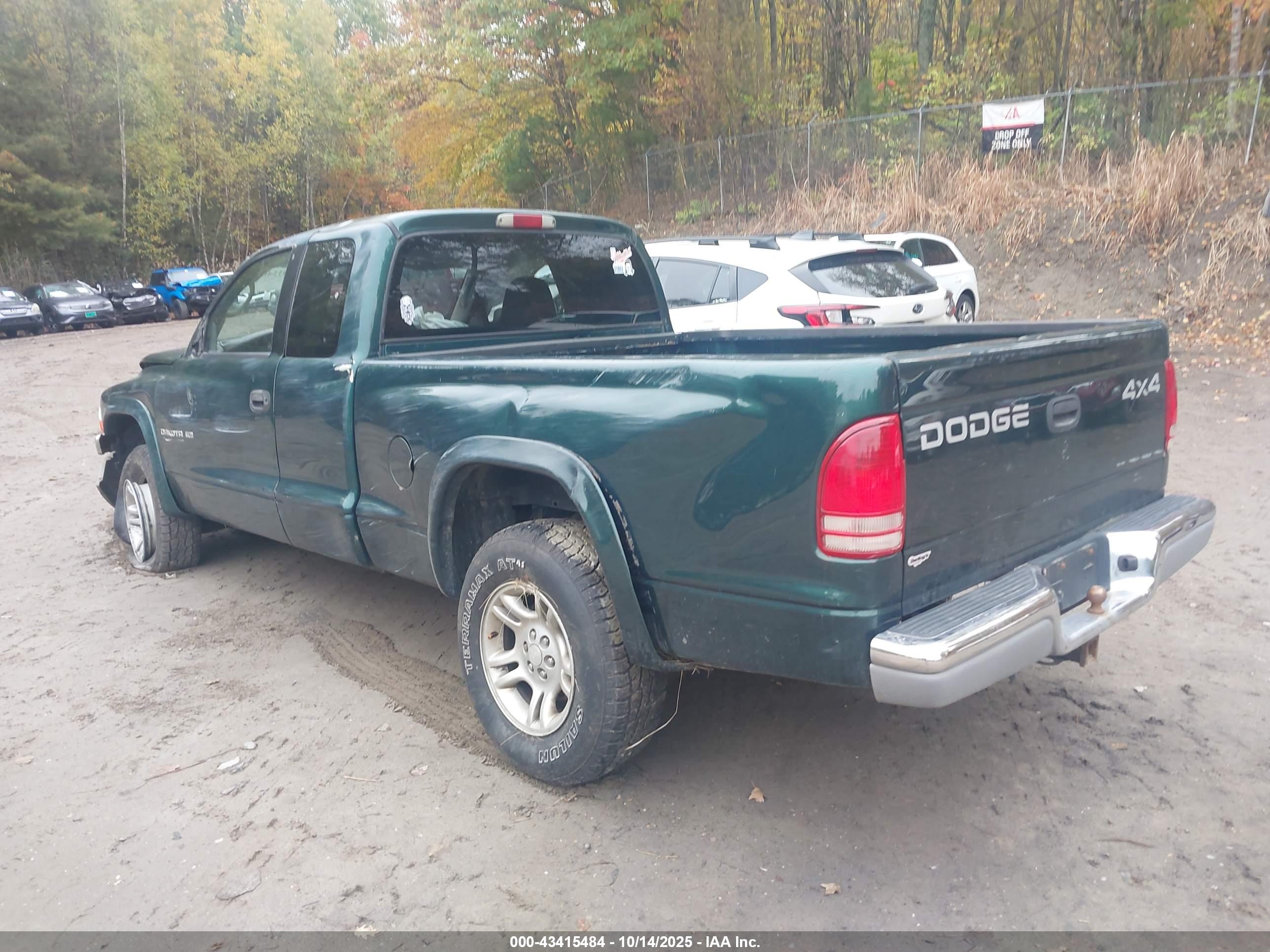 DODGE DAKOTA image 3