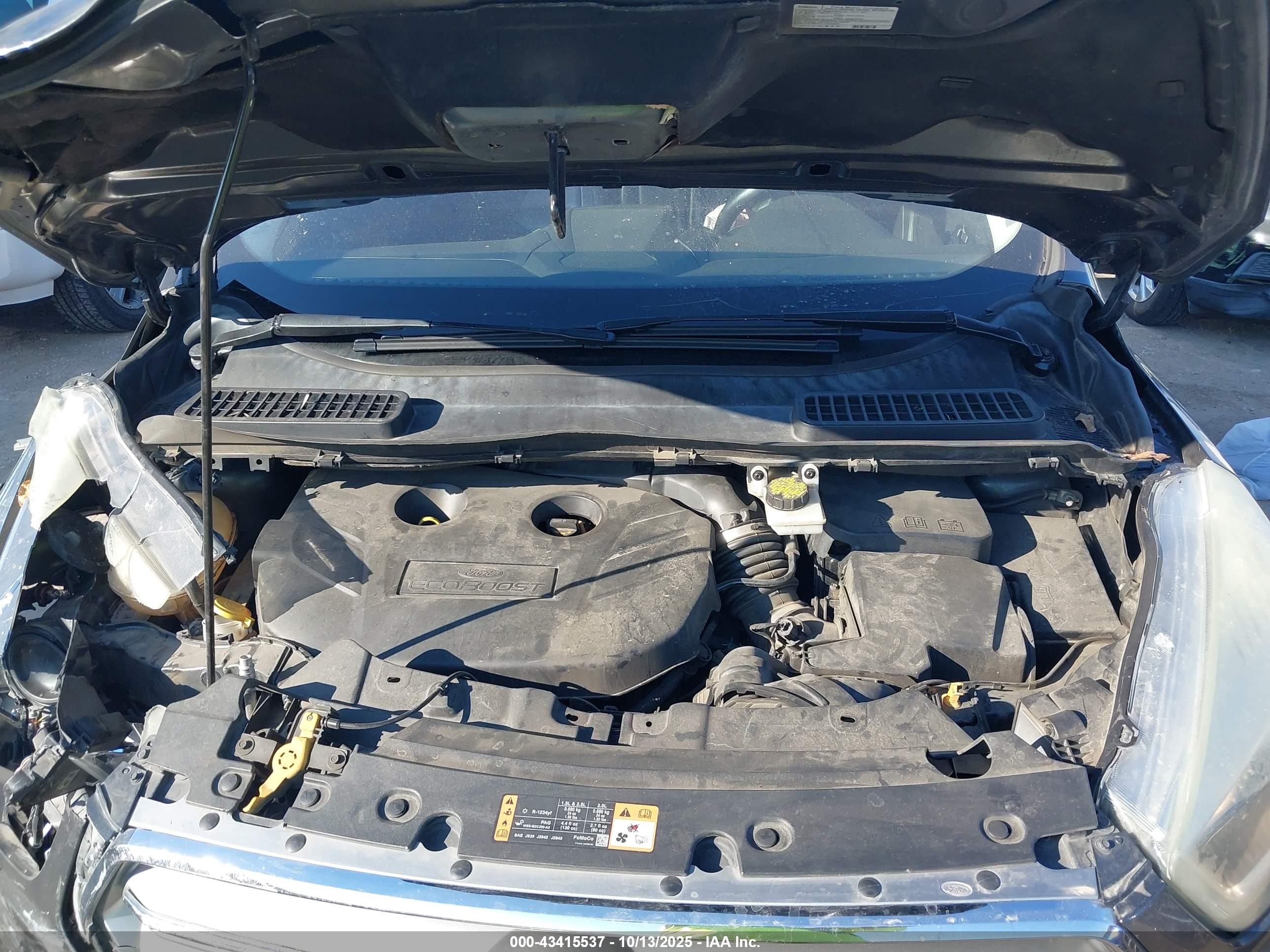 FORD ESCAPE image 10