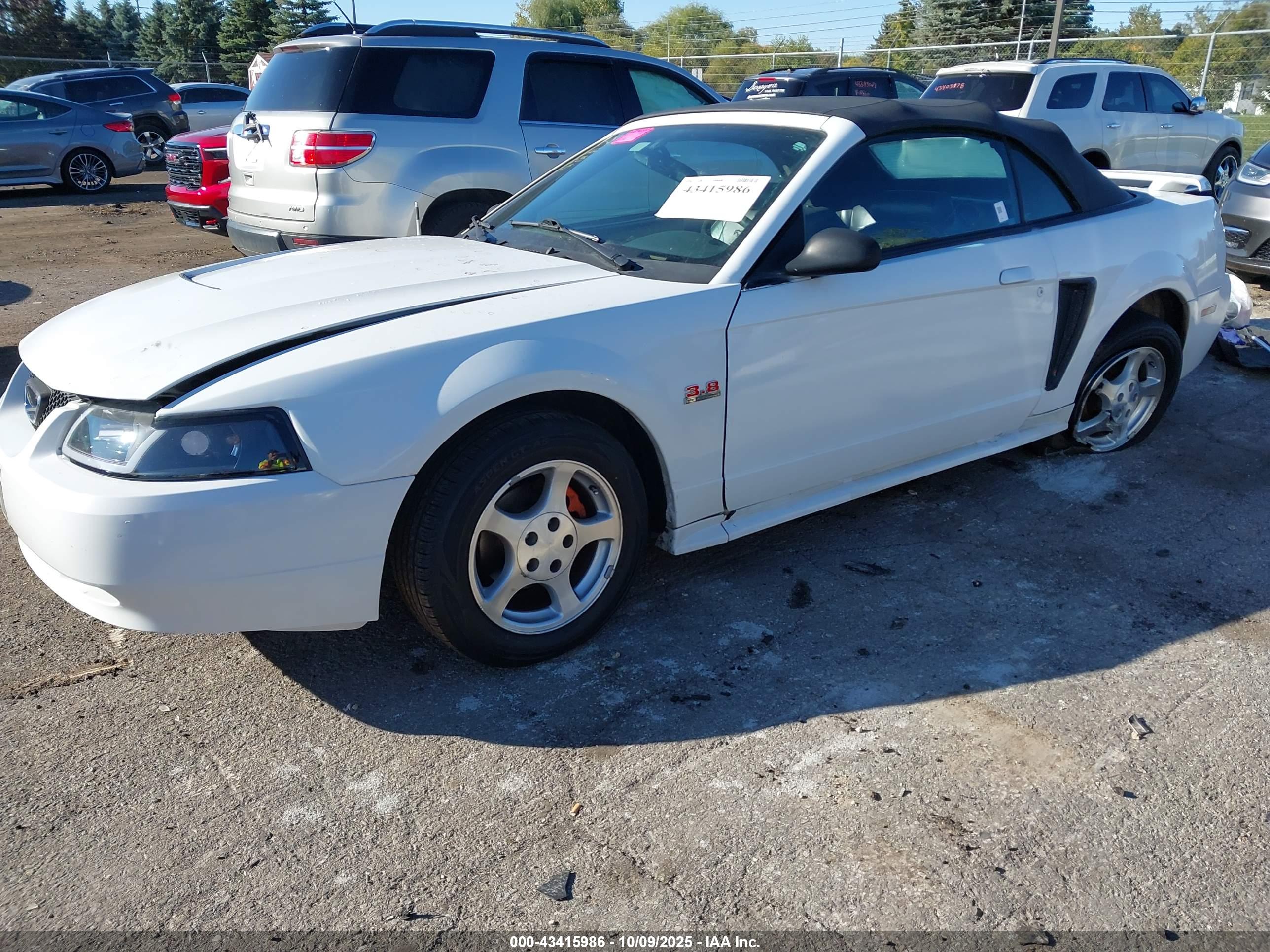FORD MUSTANG image 2