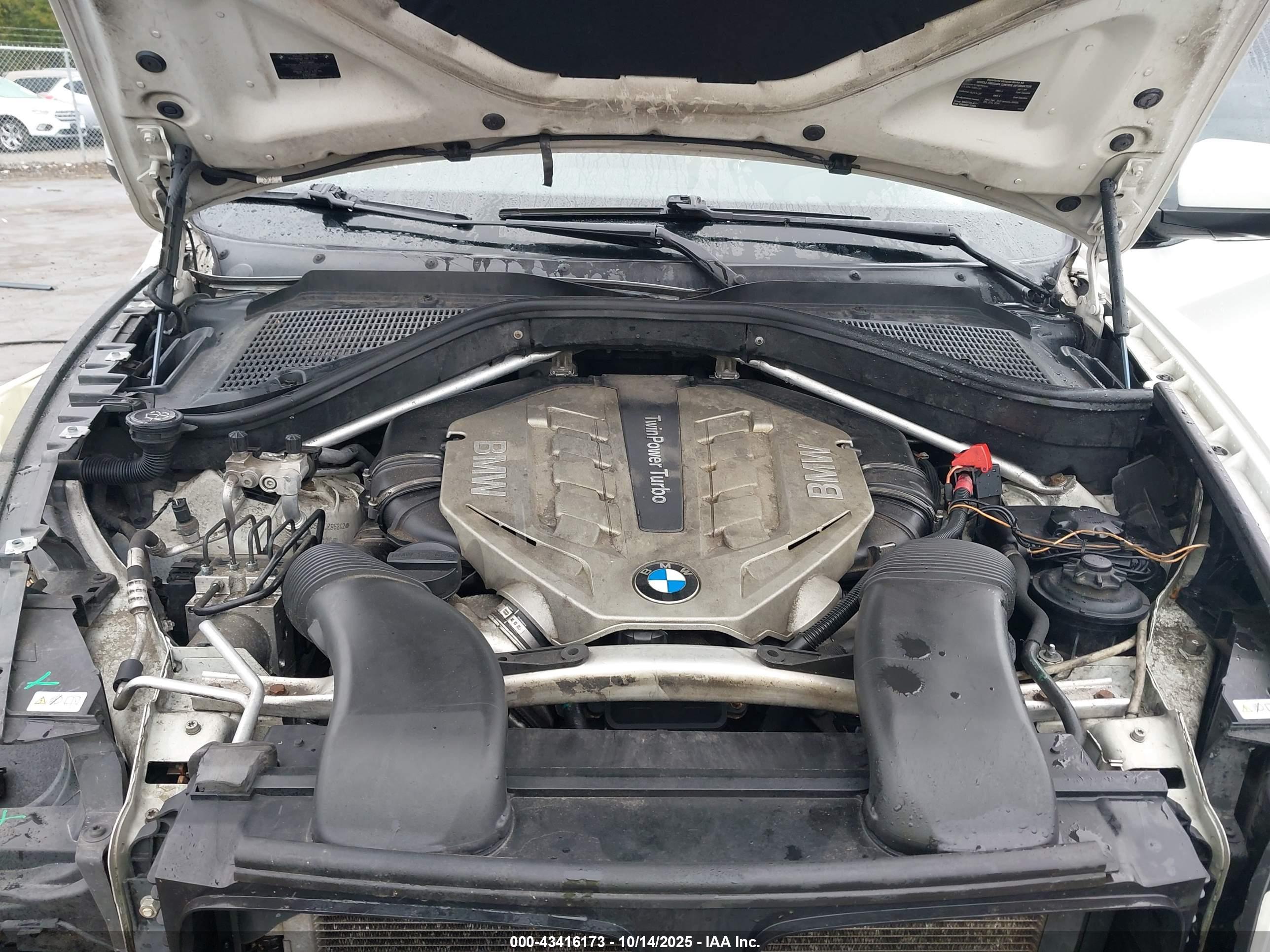 BMW X6 image 10