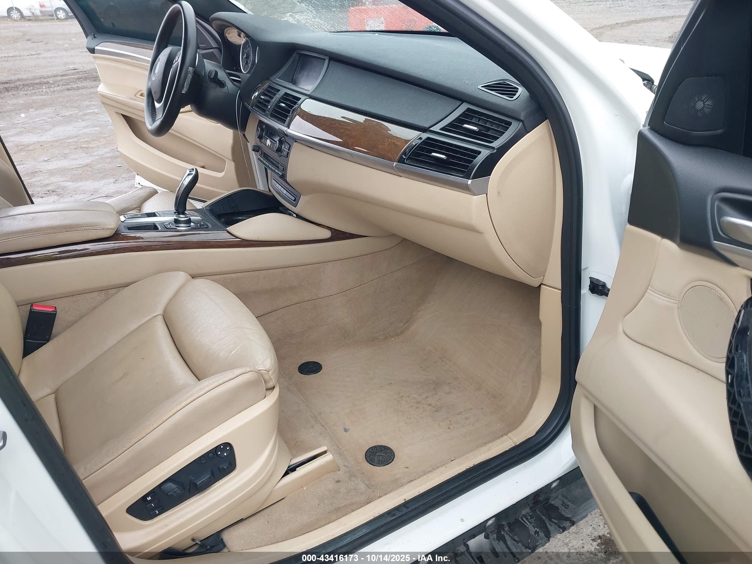 BMW X6 image 5