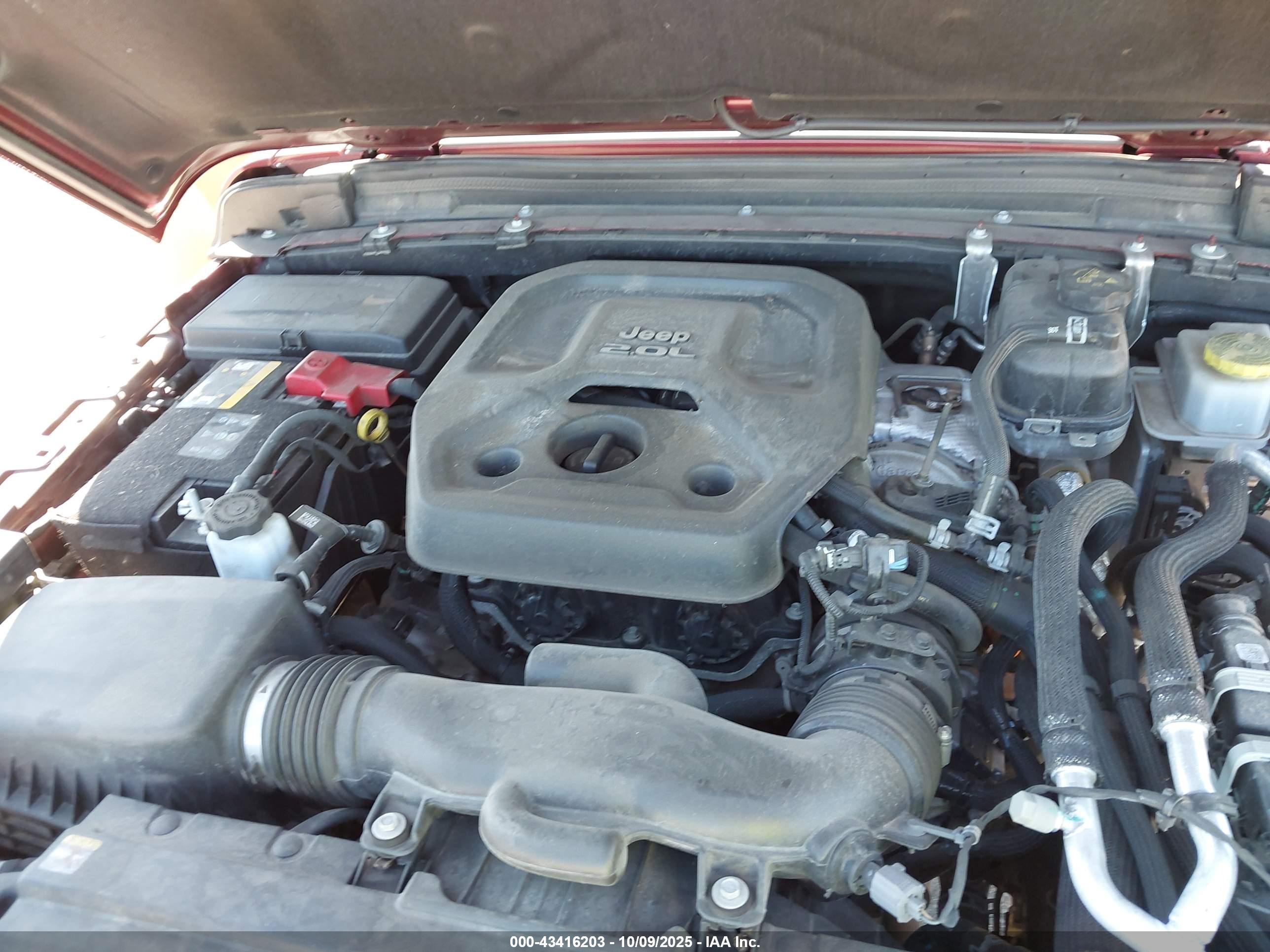 JEEP WRANGLER image 10