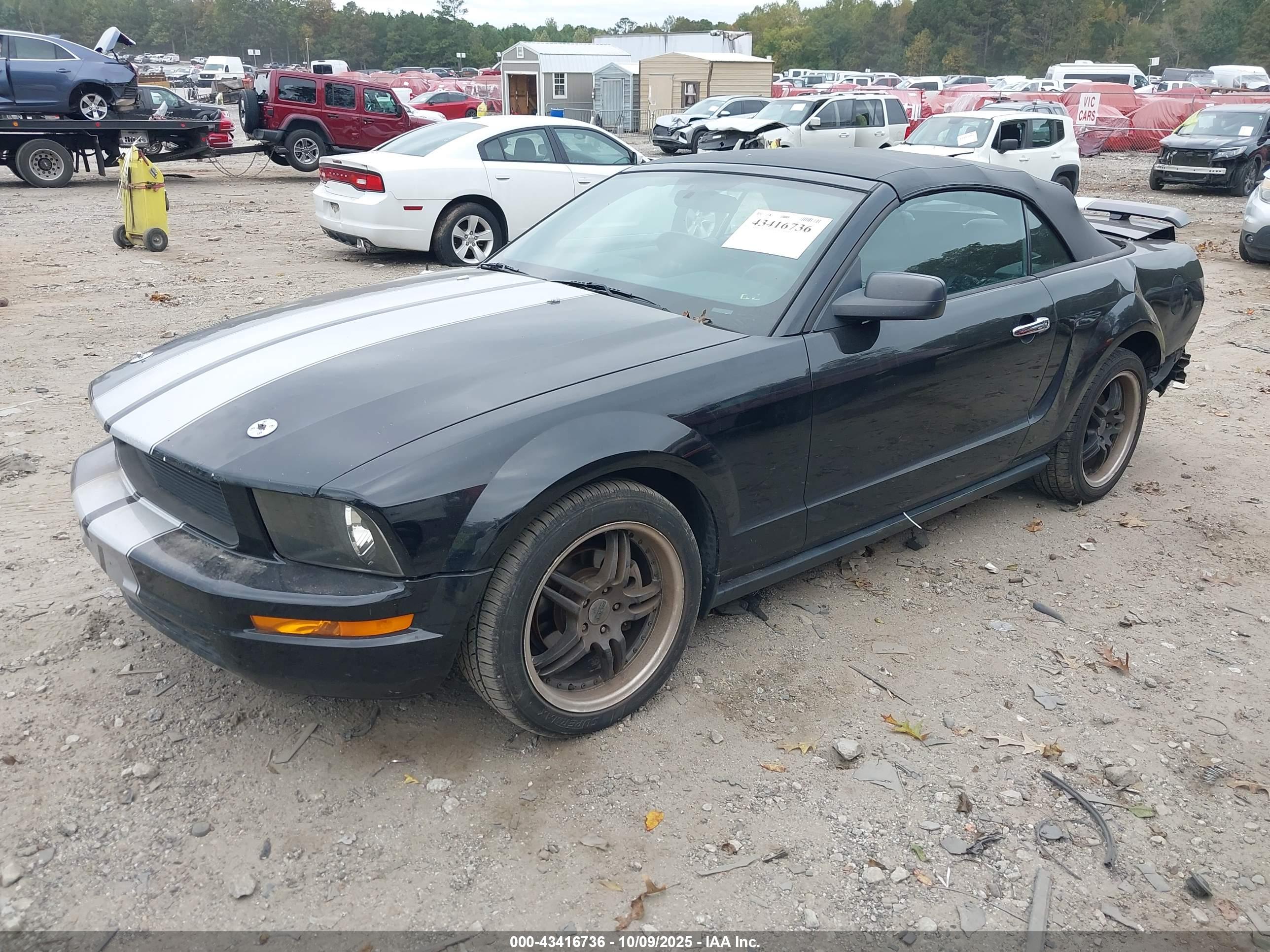 FORD MUSTANG image 2