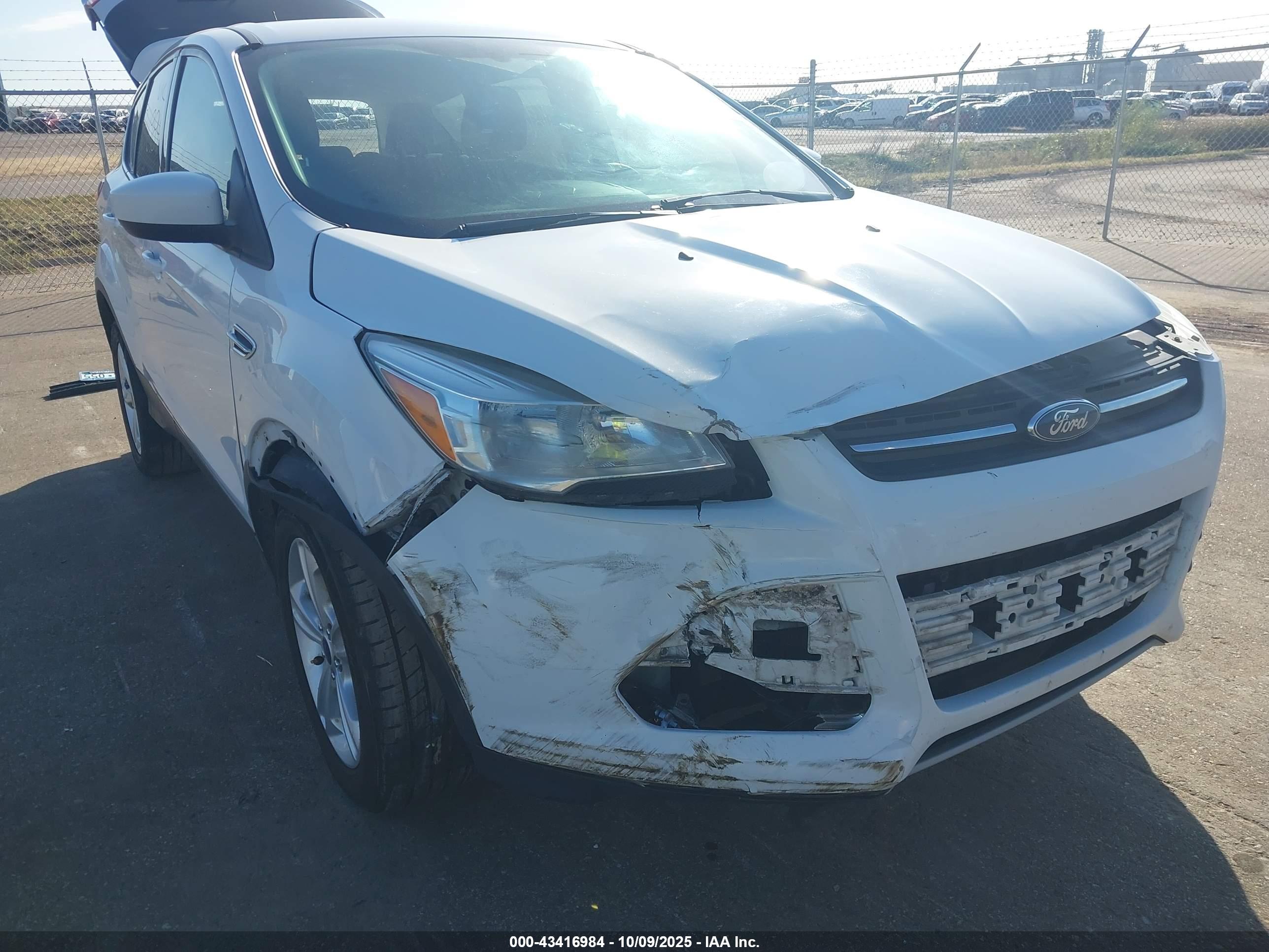 FORD ESCAPE image 6