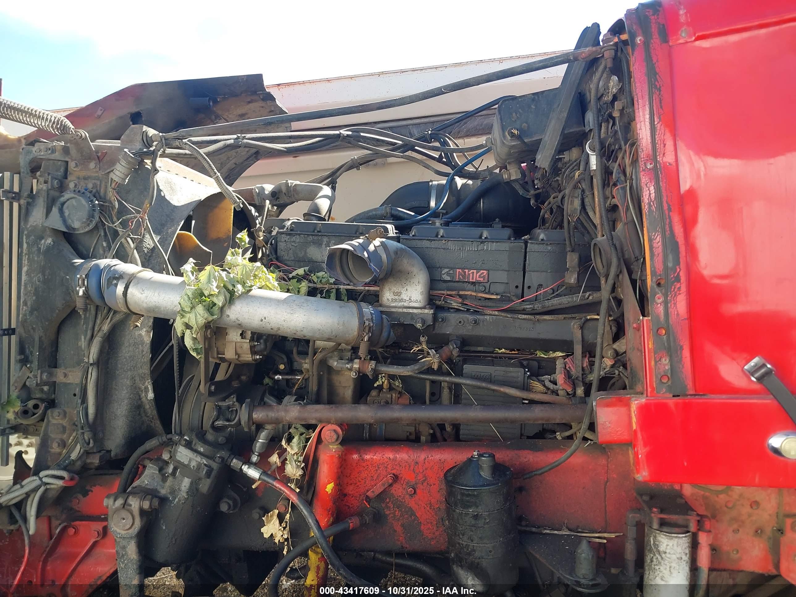 WESTERN STAR/AUTO image 10