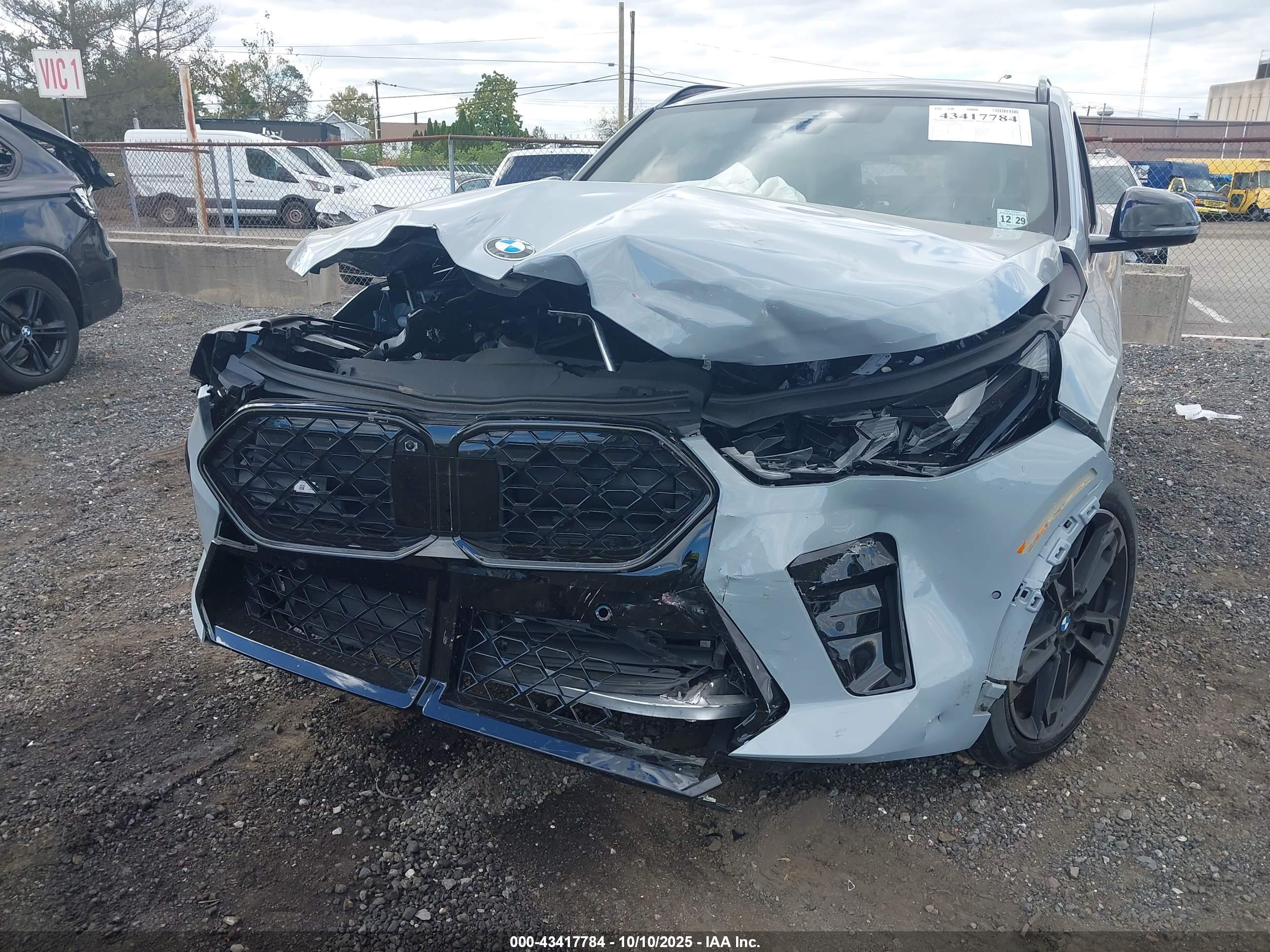 BMW X2 image 6
