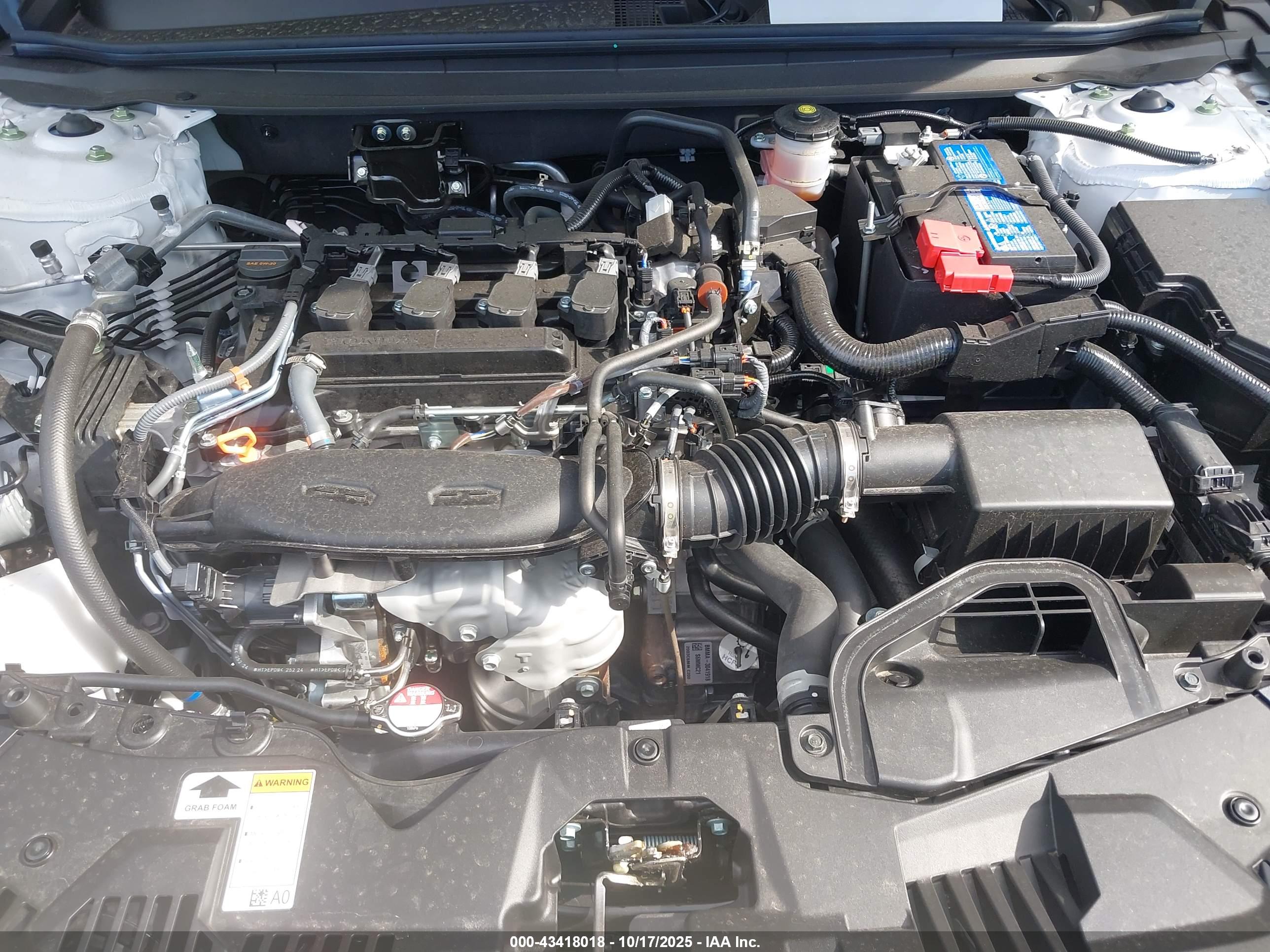 HONDA ACCORD image 10