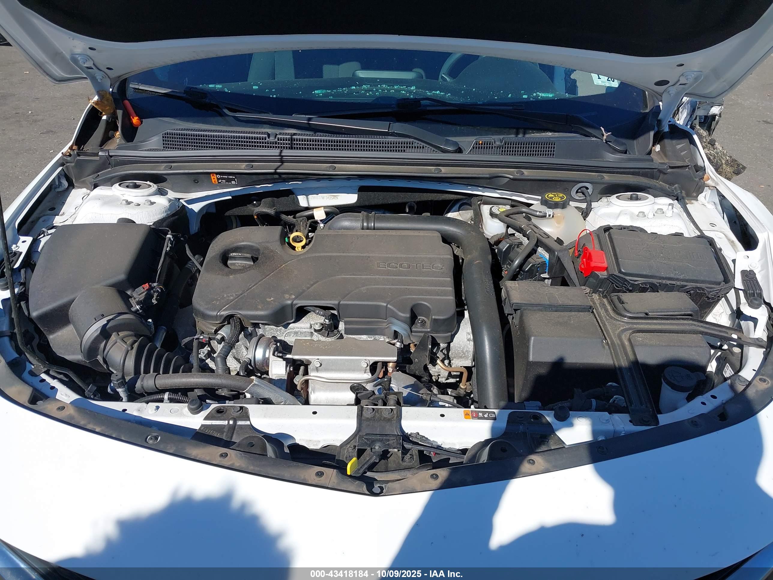 CHEVROLET MALIBU image 10