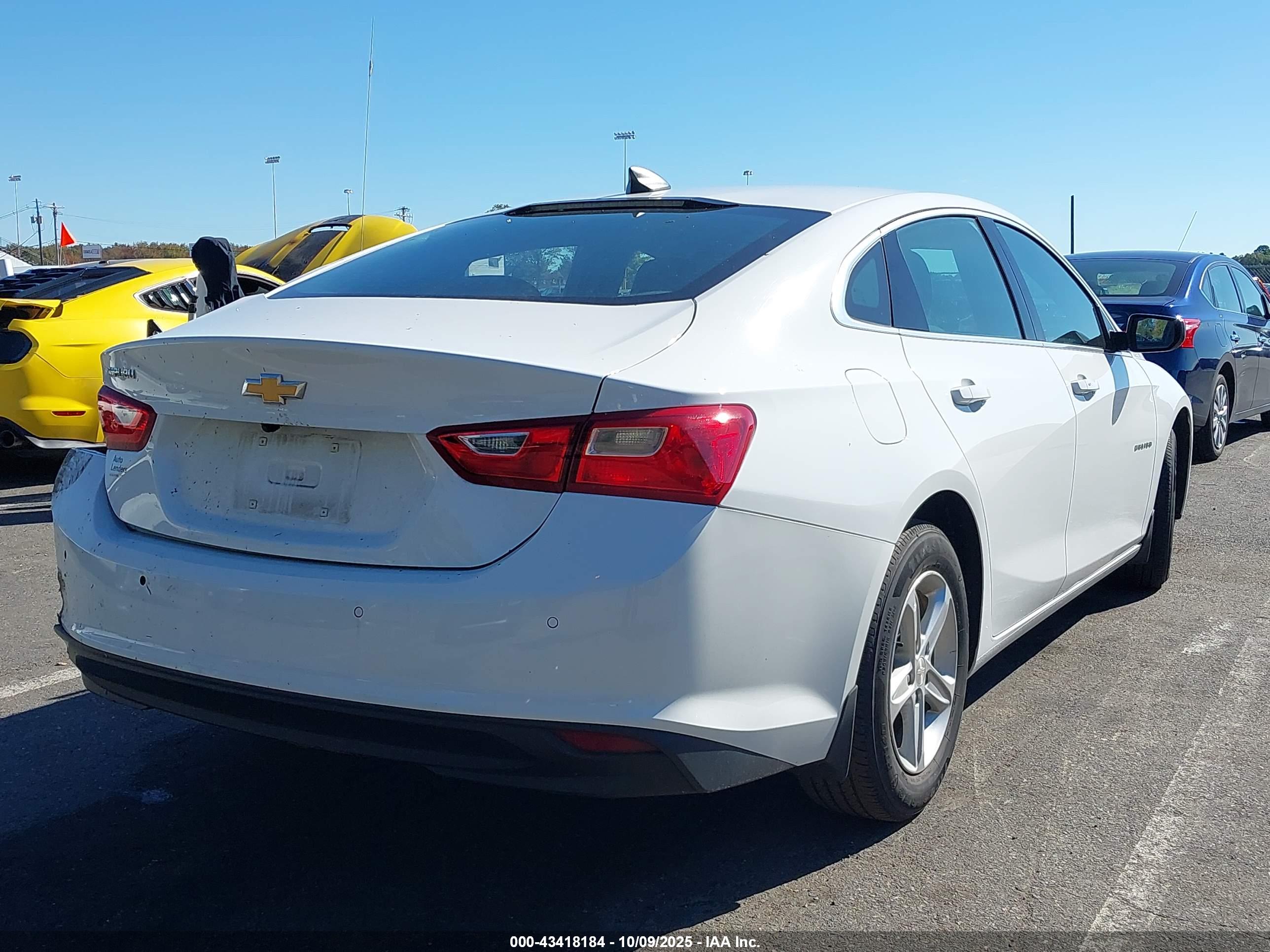 CHEVROLET MALIBU image 4