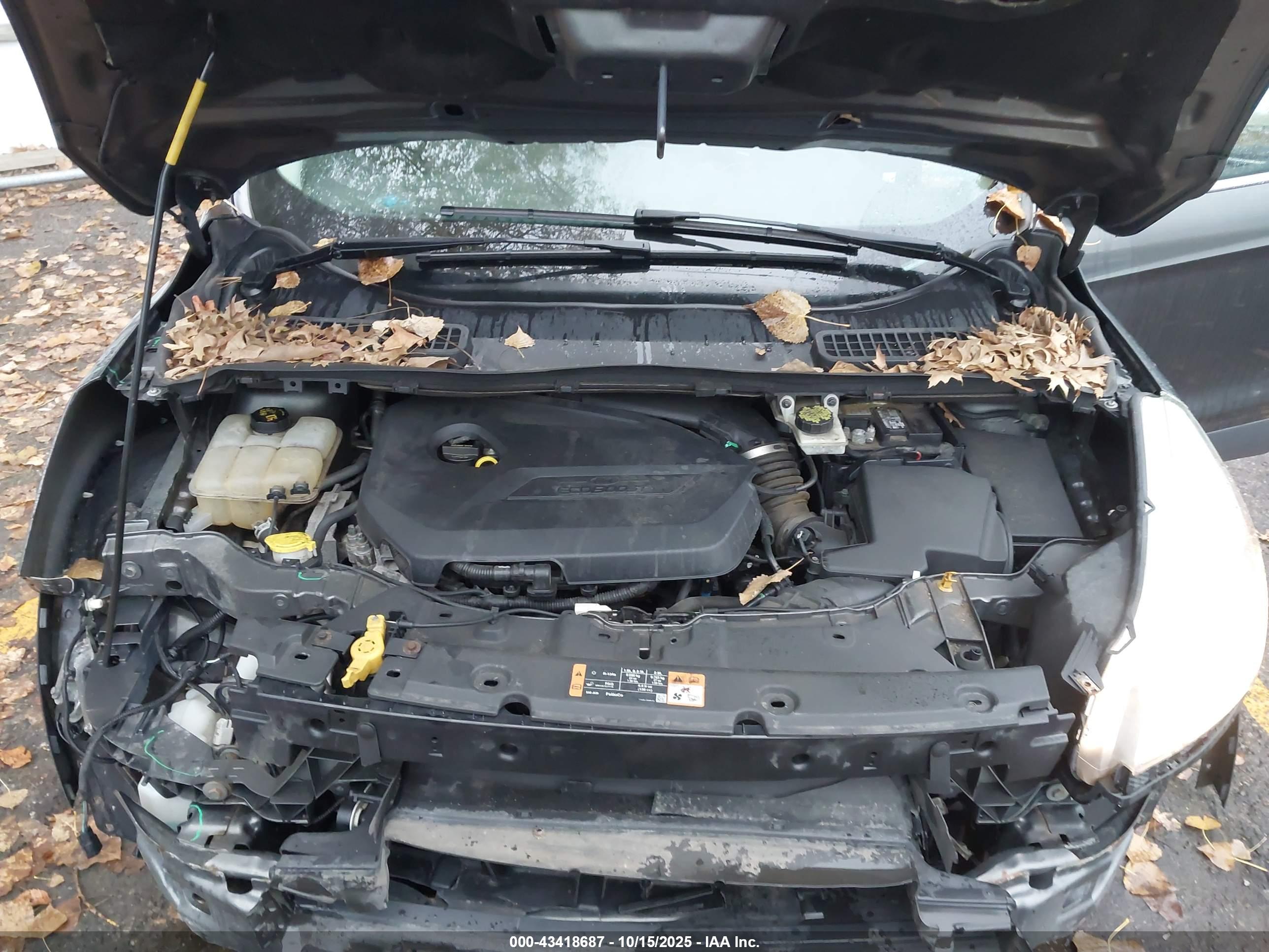 FORD ESCAPE image 10