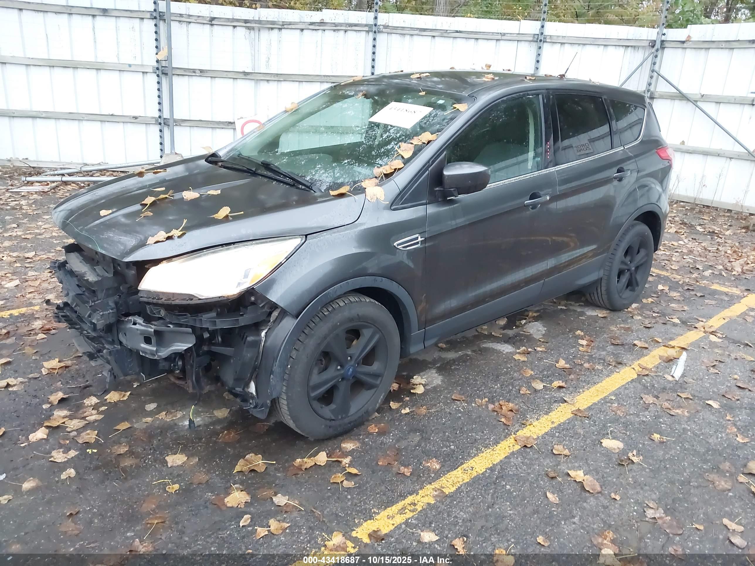 FORD ESCAPE image 2