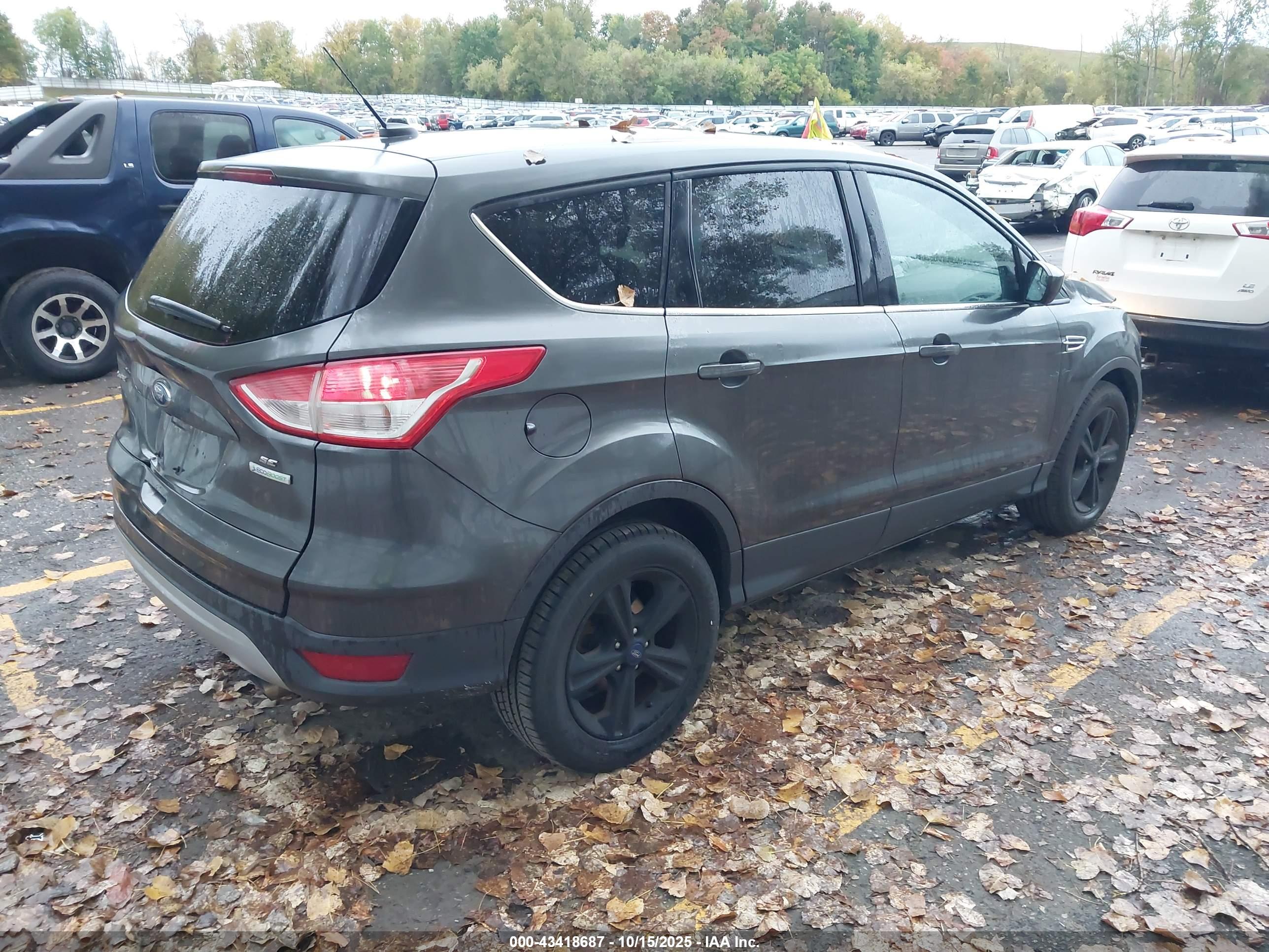 FORD ESCAPE image 4