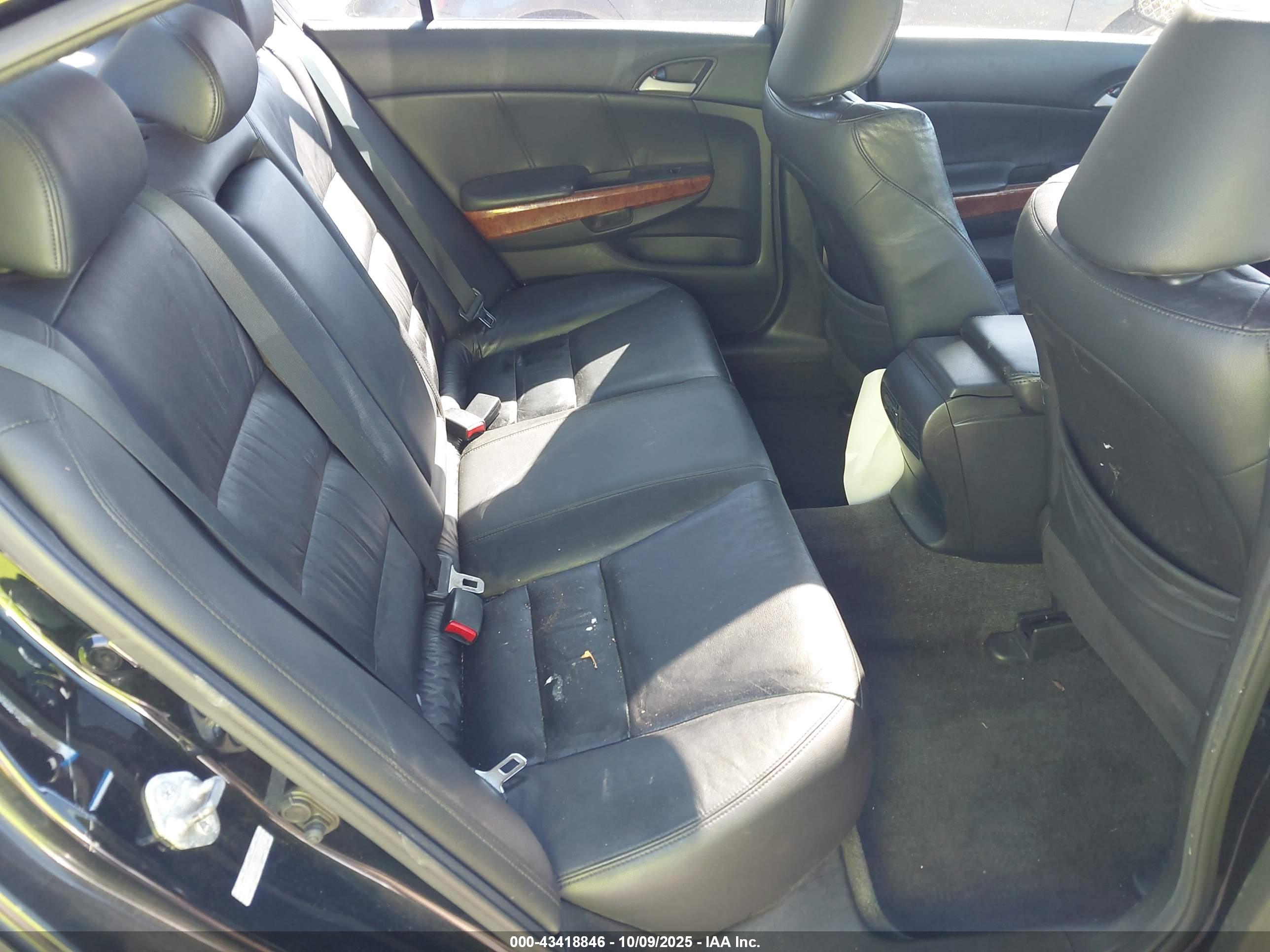 HONDA ACCORD image 8