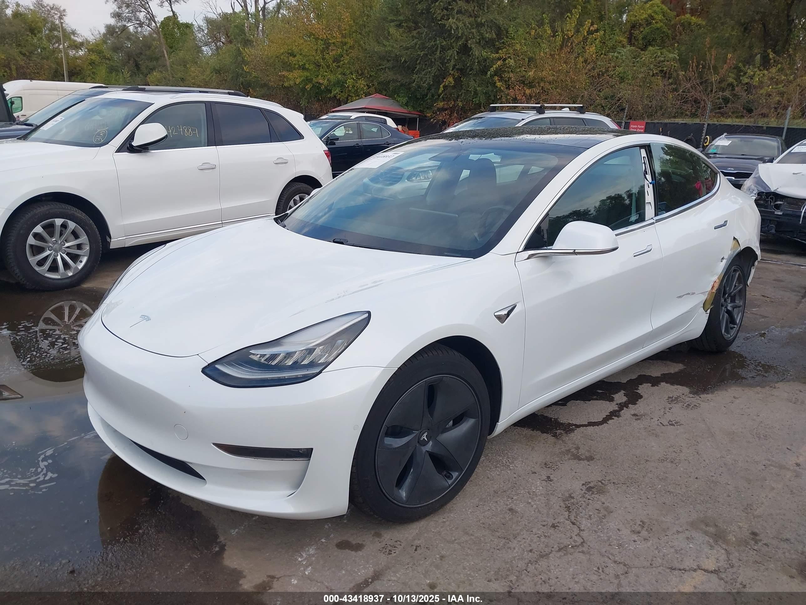 TESLA MODEL image 2