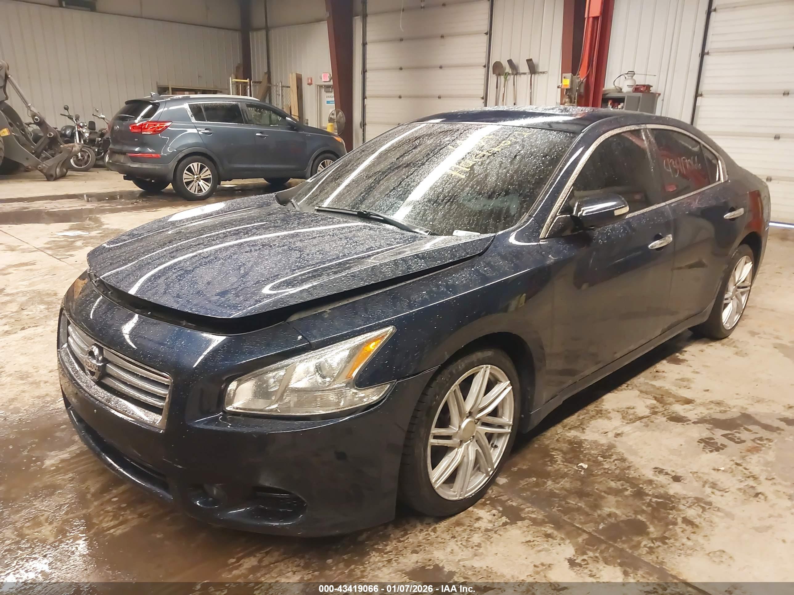 NISSAN MAXIMA image 2