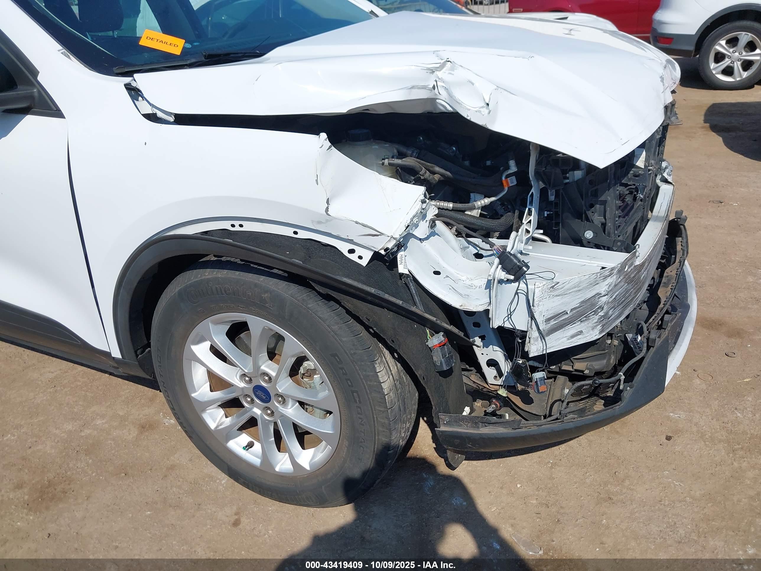 FORD ESCAPE image 6