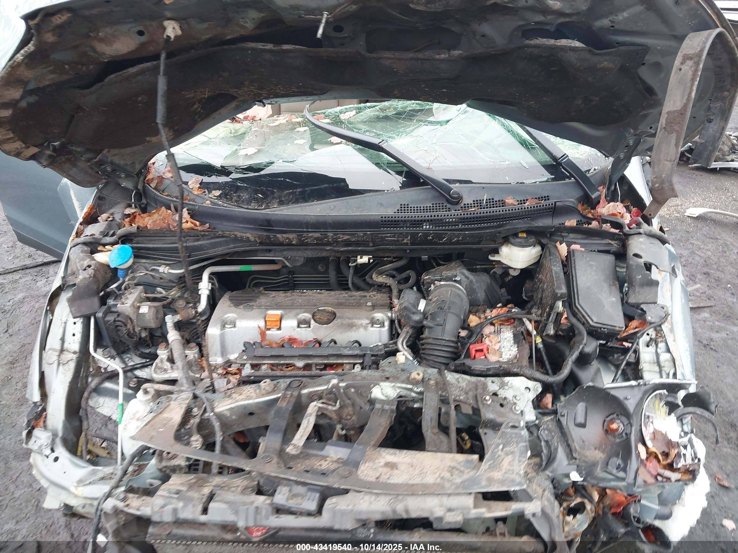 HONDA CR-V image 10
