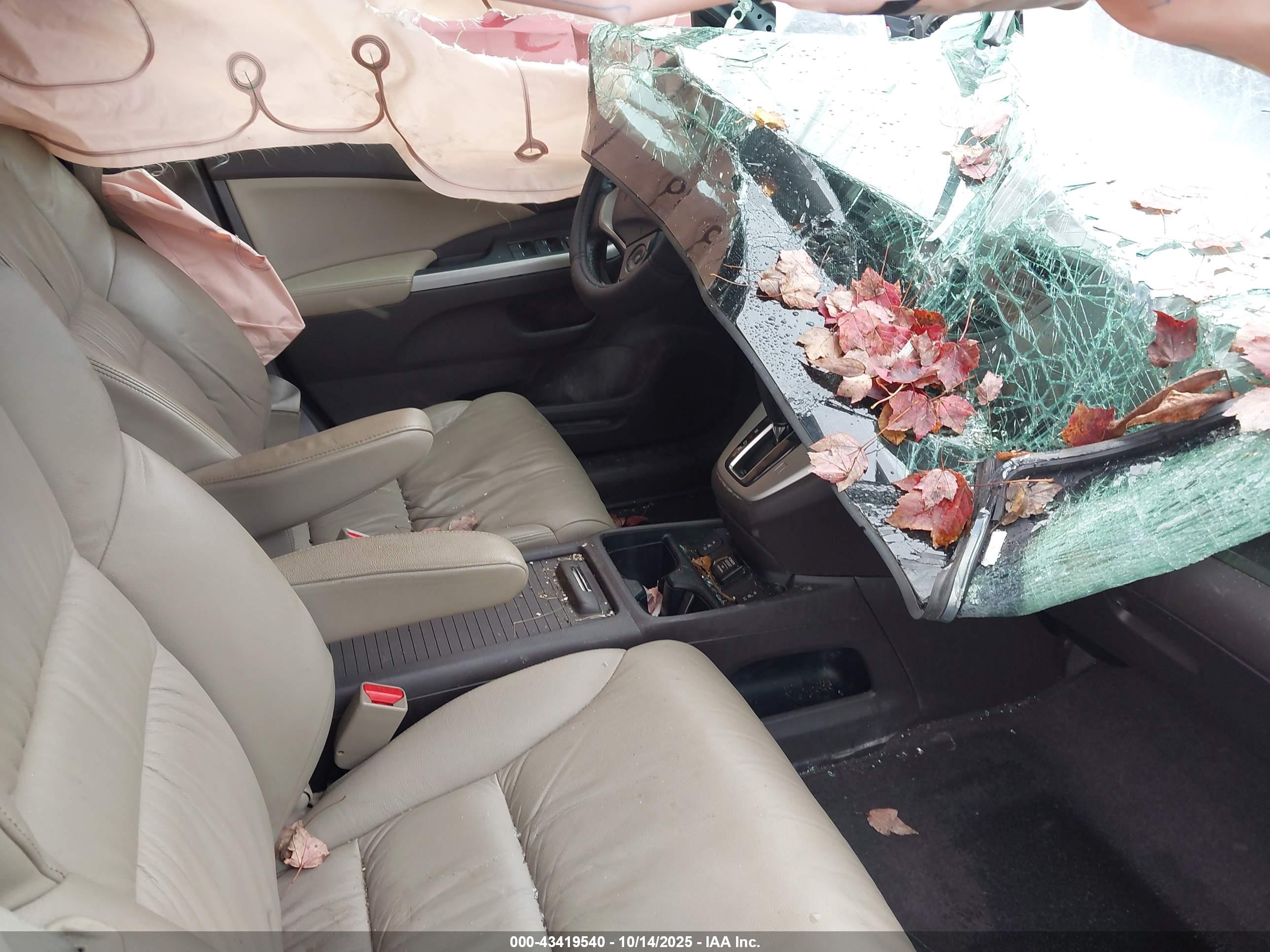 HONDA CR-V image 5