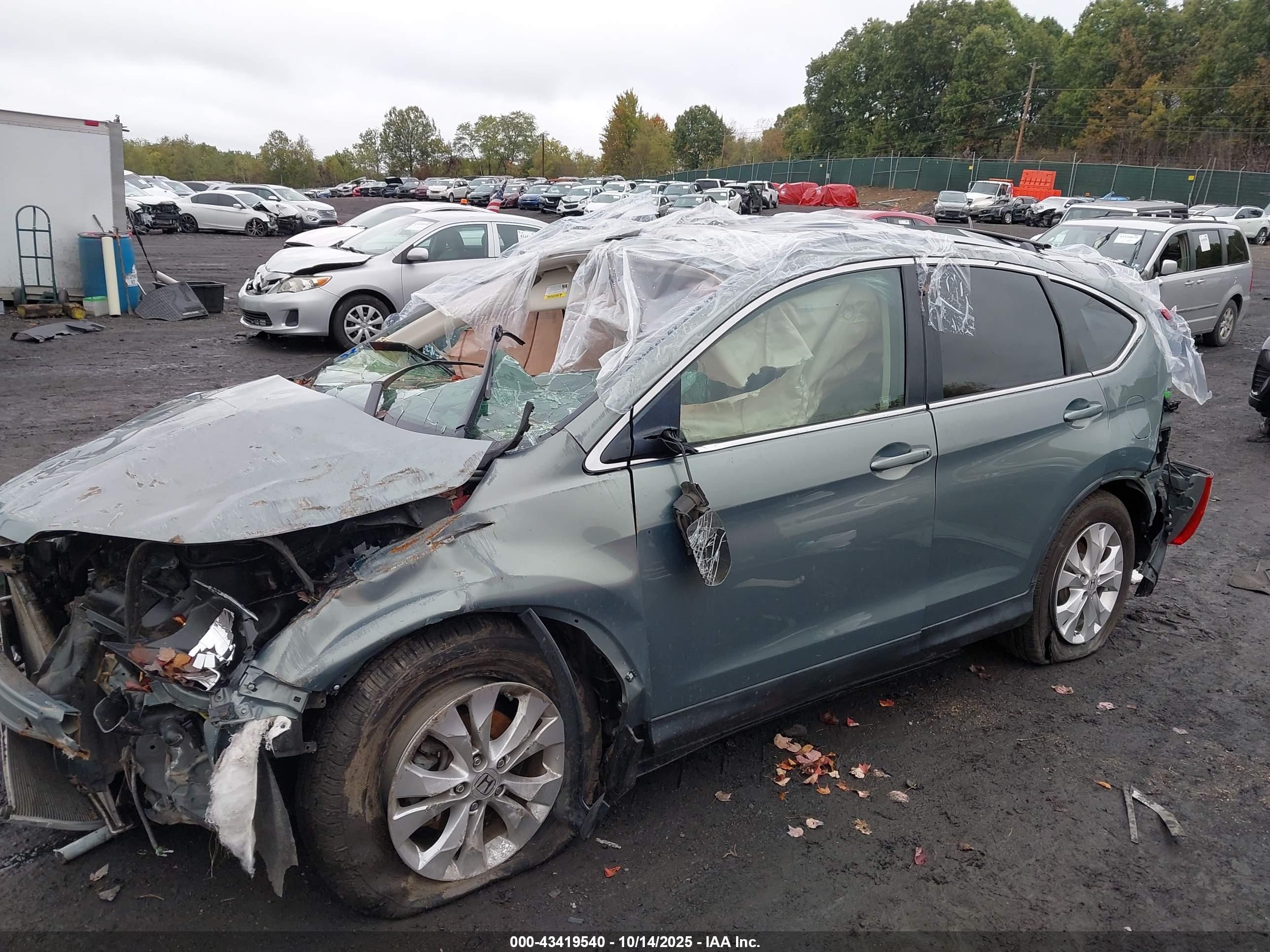 HONDA CR-V image 6