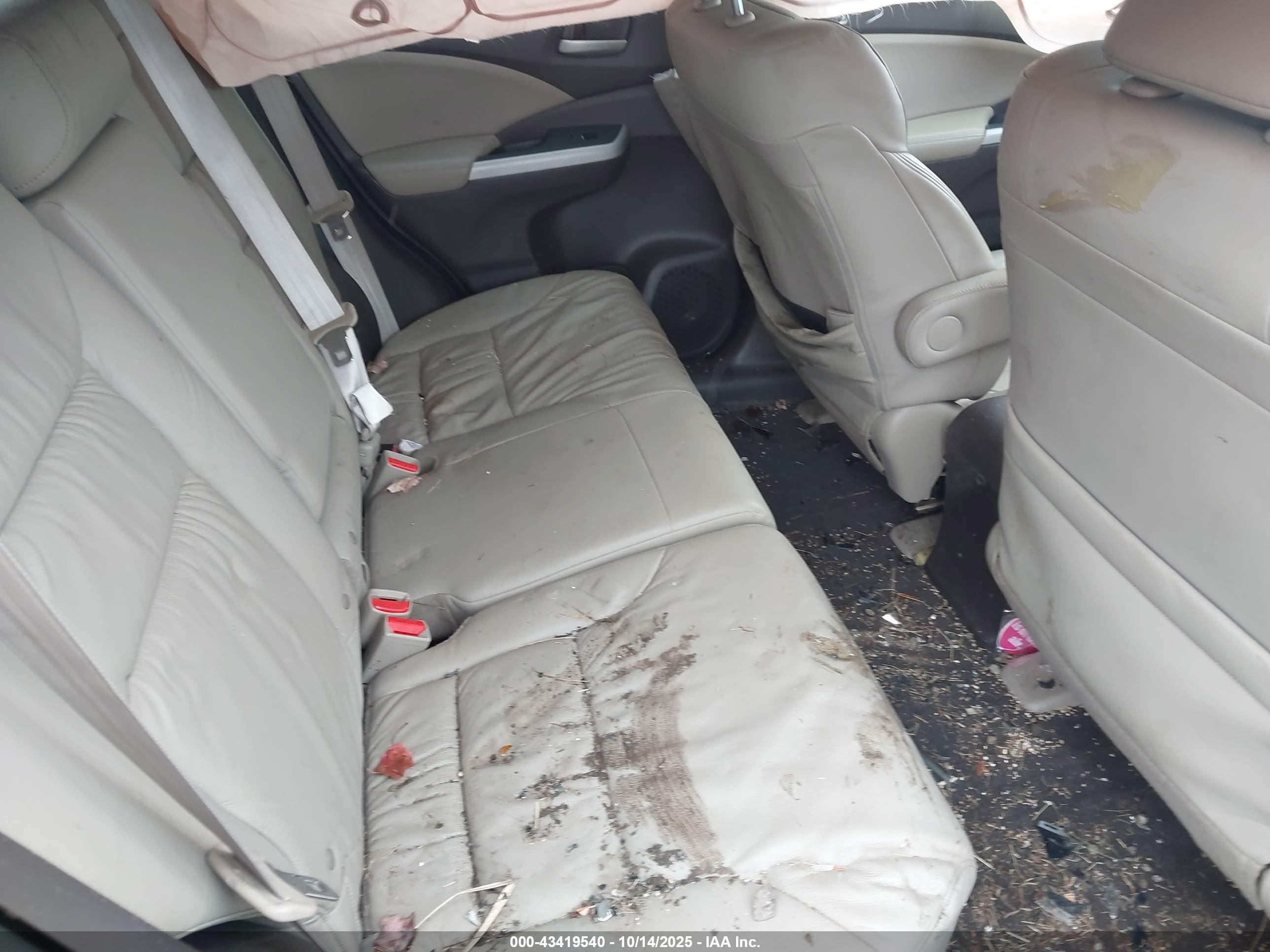 HONDA CR-V image 8