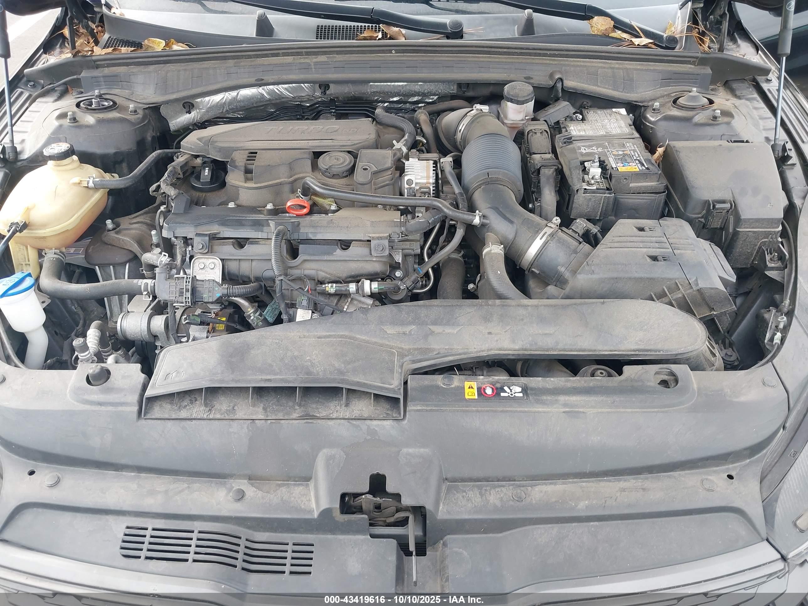 KIA K5 image 10