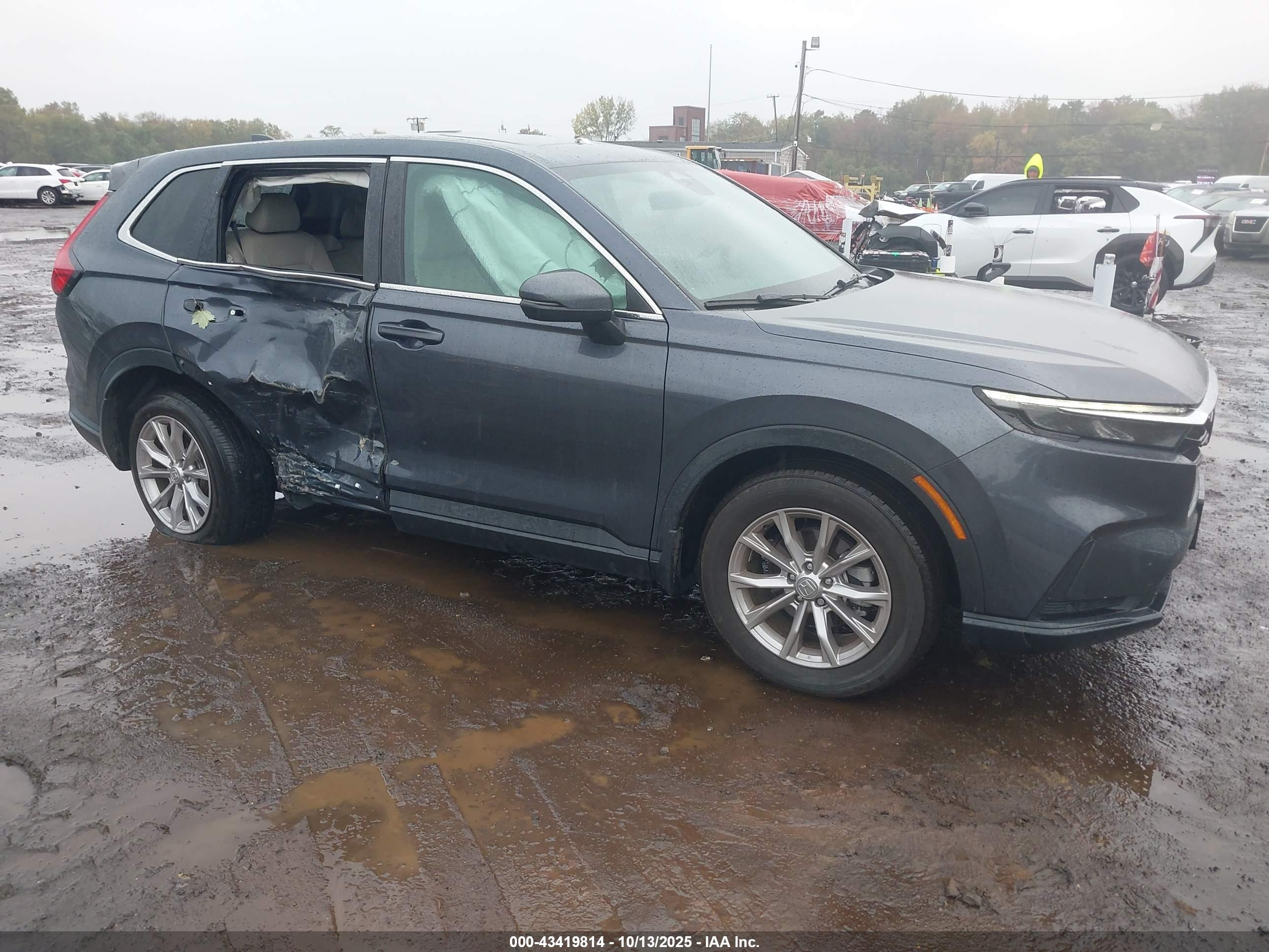 HONDA CR-V image 6