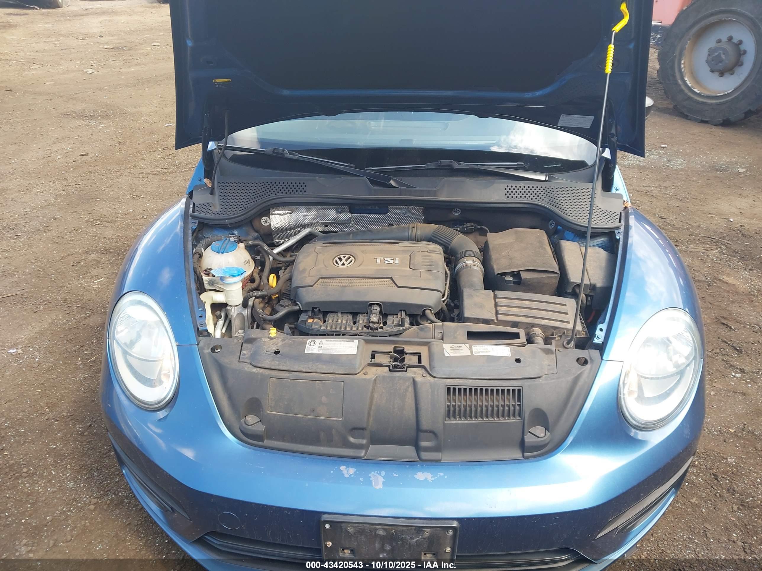 VOLKSWAGEN BEETLE image 10