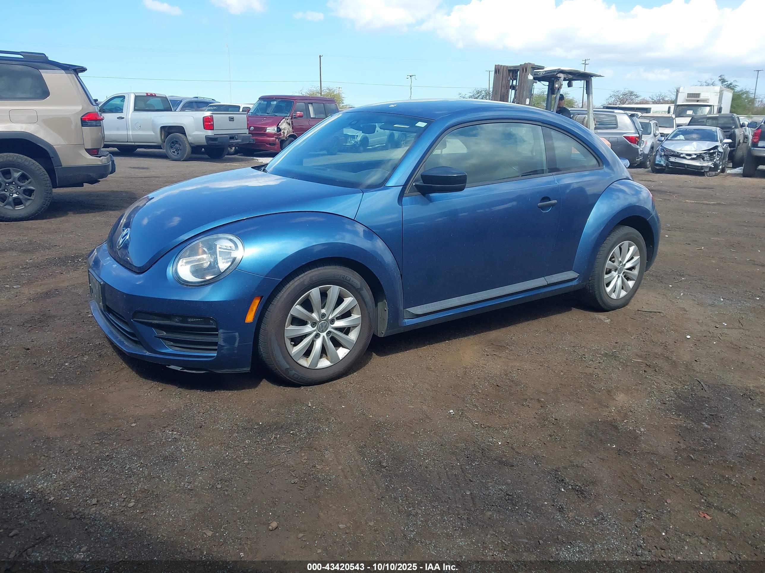 VOLKSWAGEN BEETLE image 2