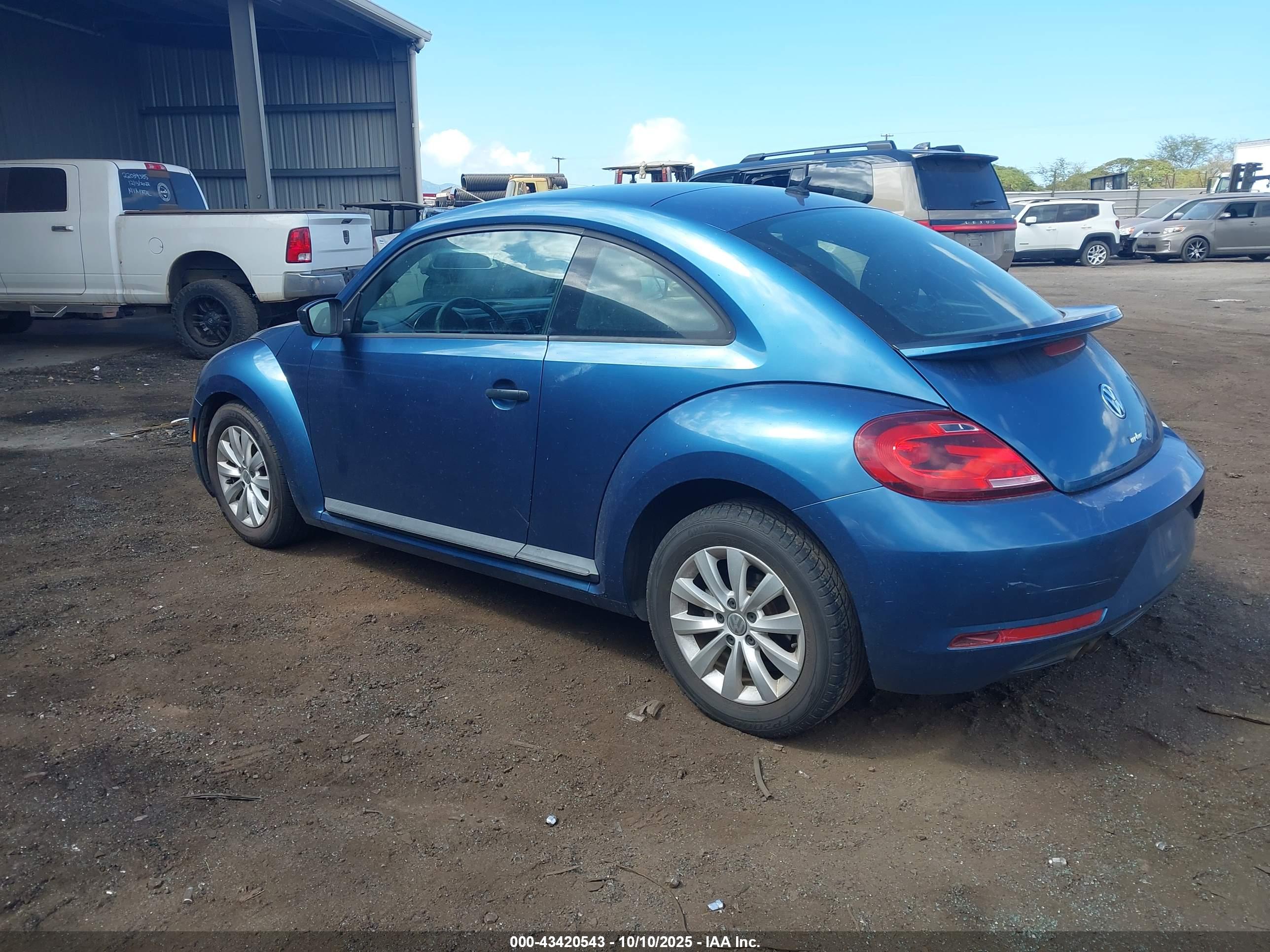 VOLKSWAGEN BEETLE image 3