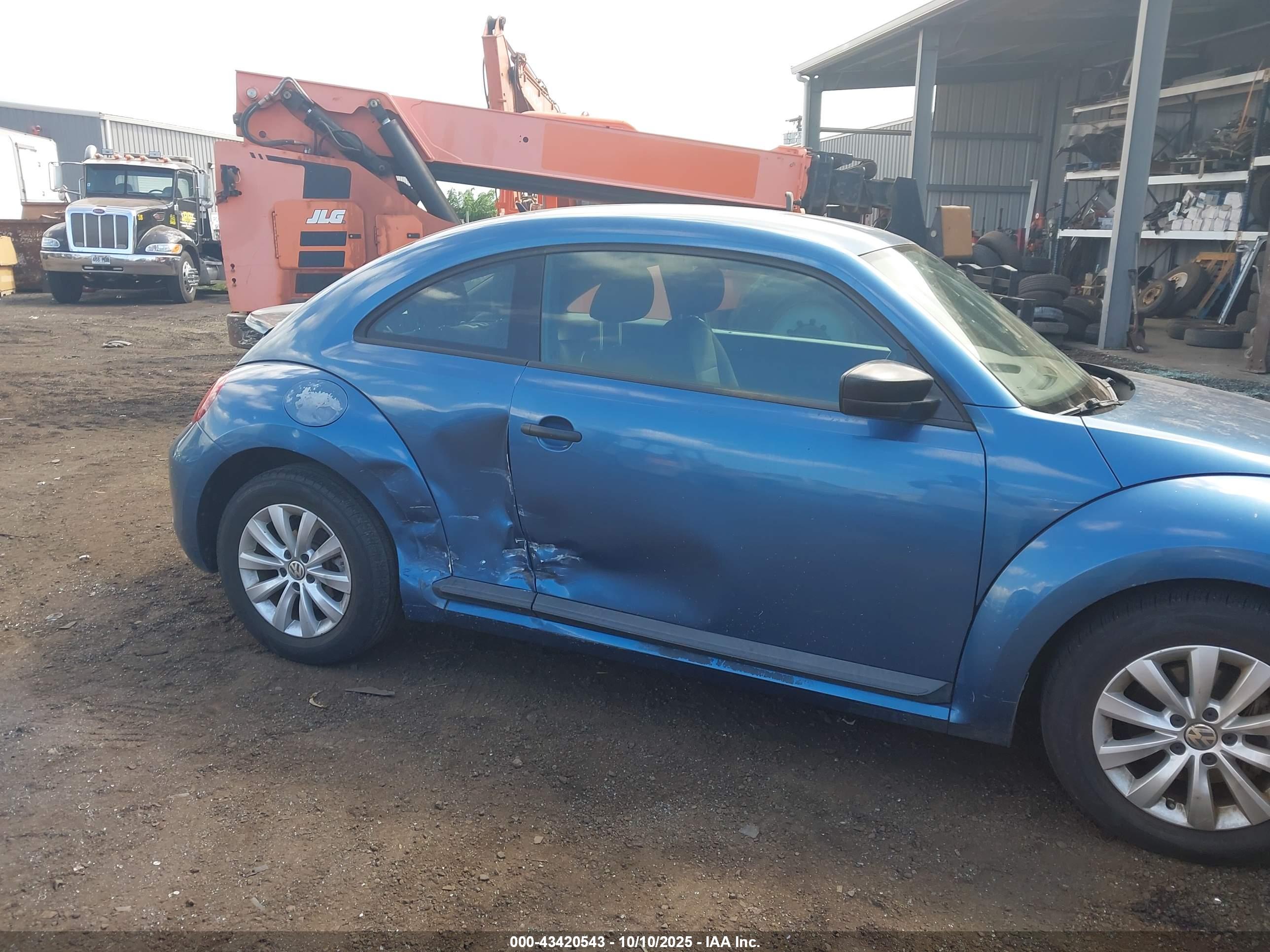 VOLKSWAGEN BEETLE image 6