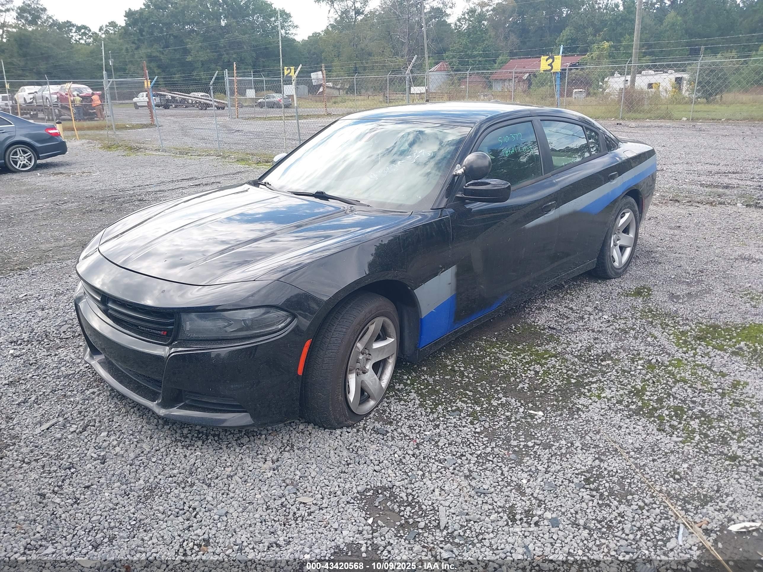 DODGE CHARGER image 2