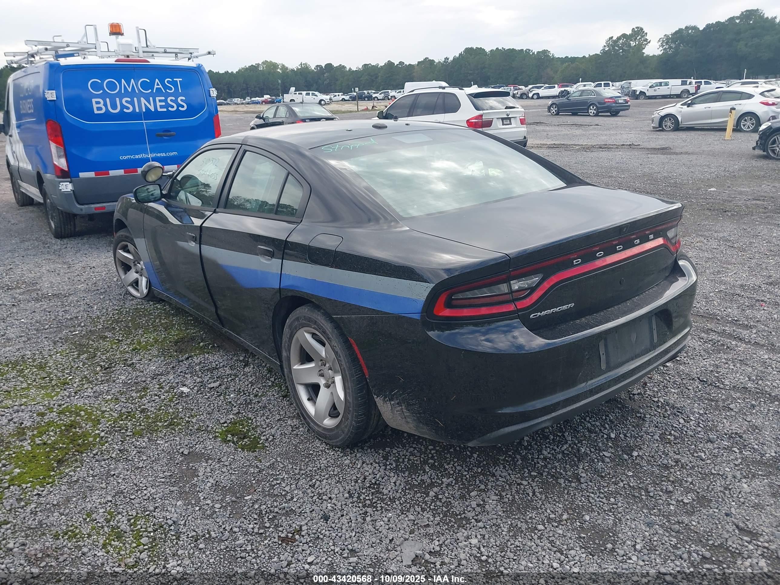 DODGE CHARGER image 3