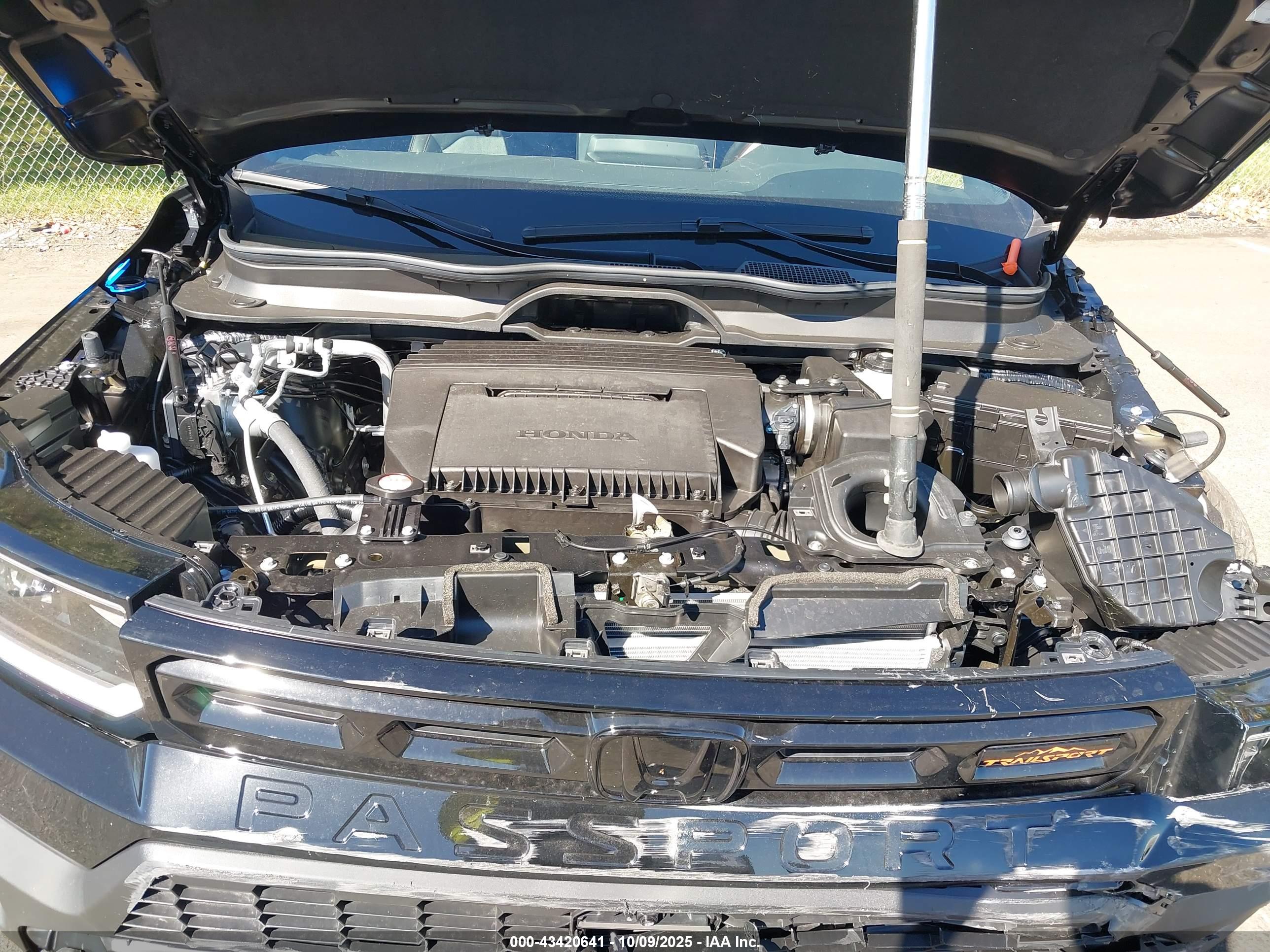 HONDA PASSPORT image 10