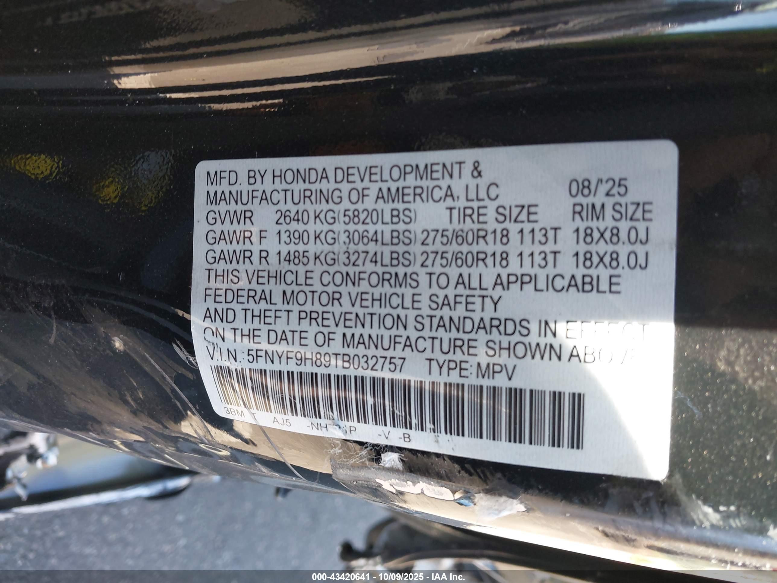 HONDA PASSPORT image 9