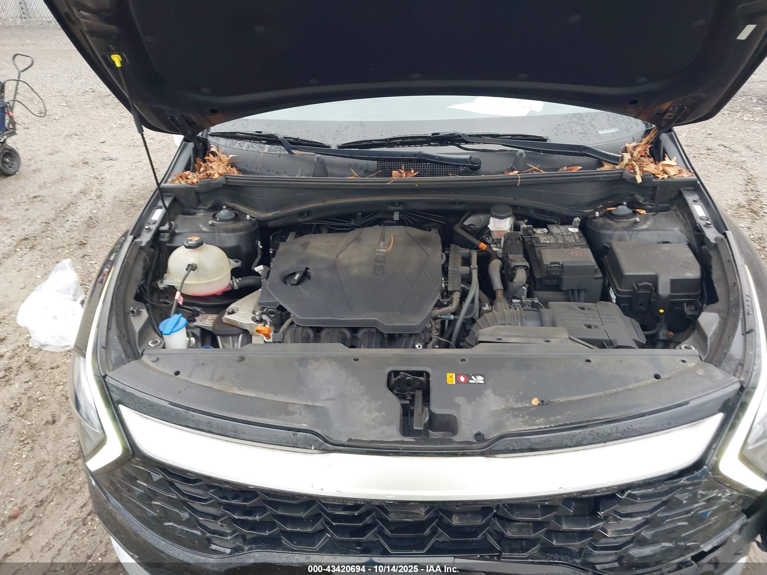 KIA SPORTAGE image 10