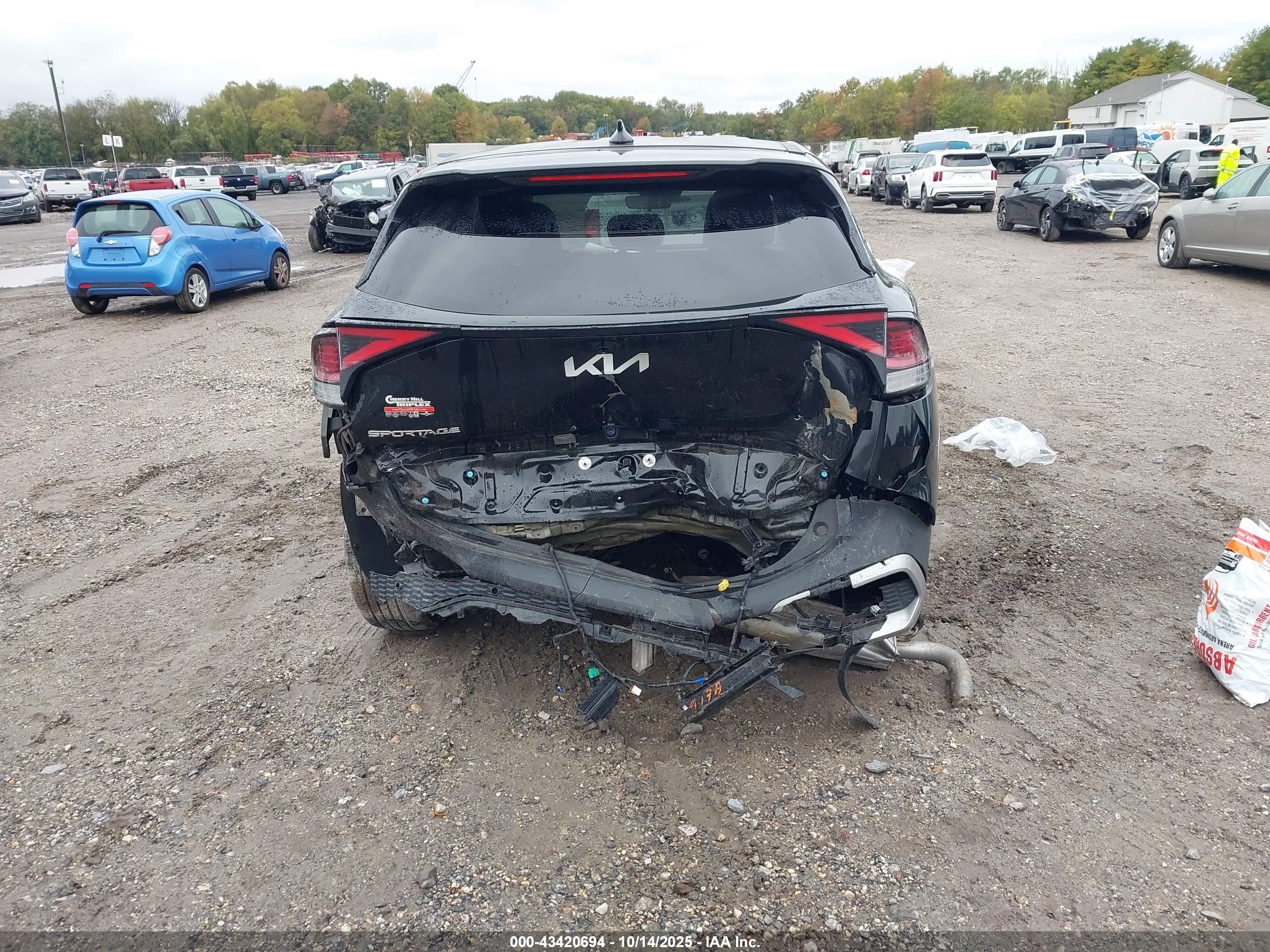KIA SPORTAGE image 6