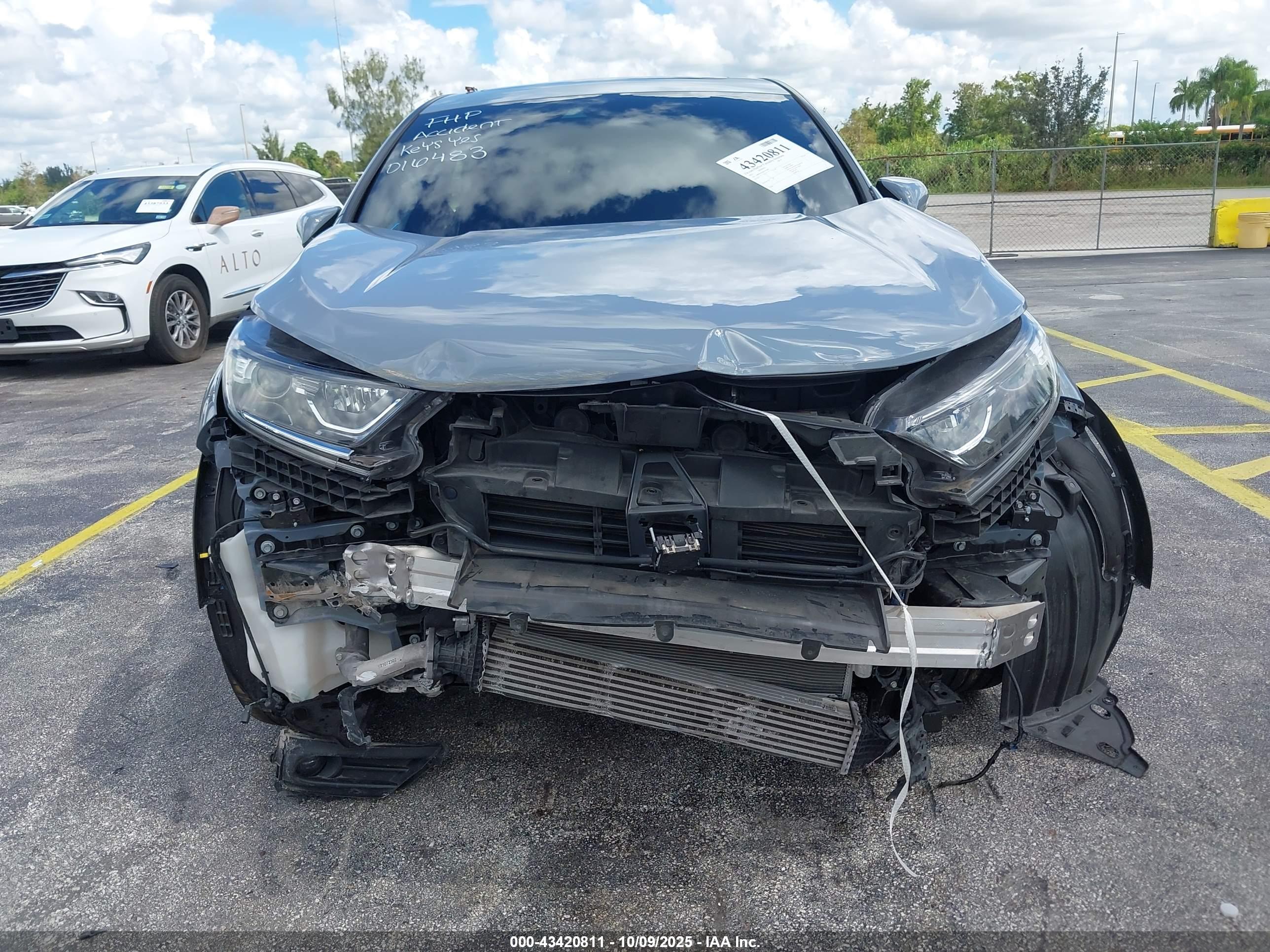 HONDA CR-V image 6