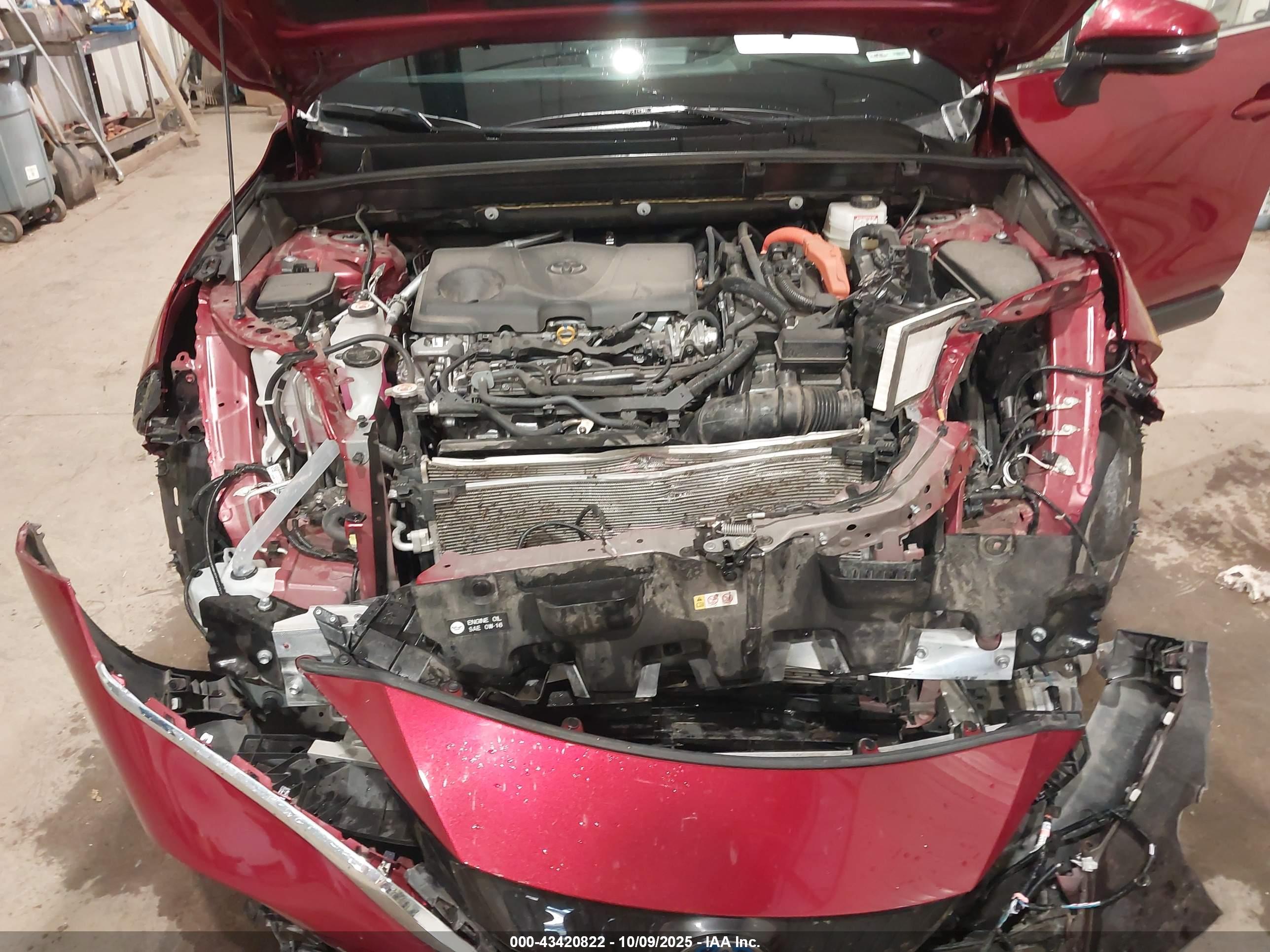 TOYOTA VENZA image 10